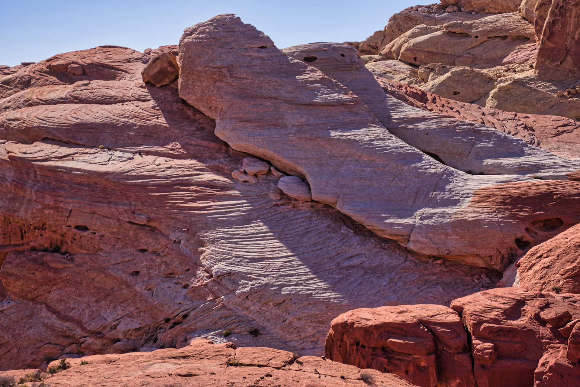 NV Desert 00111