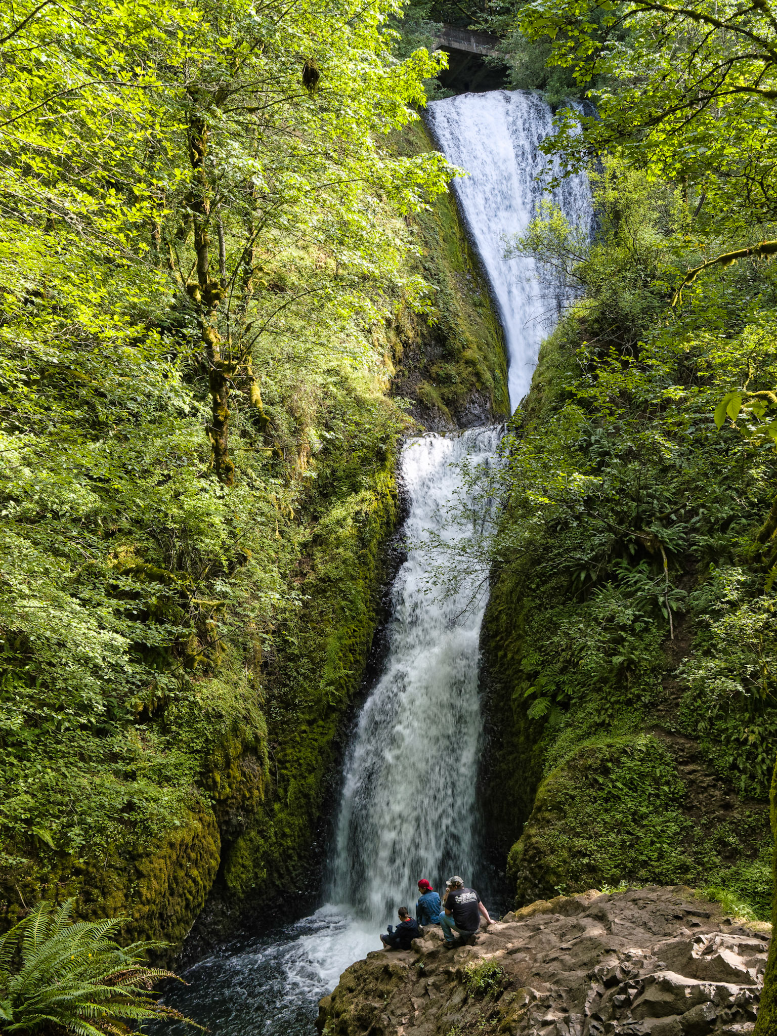 OR Portland 00054