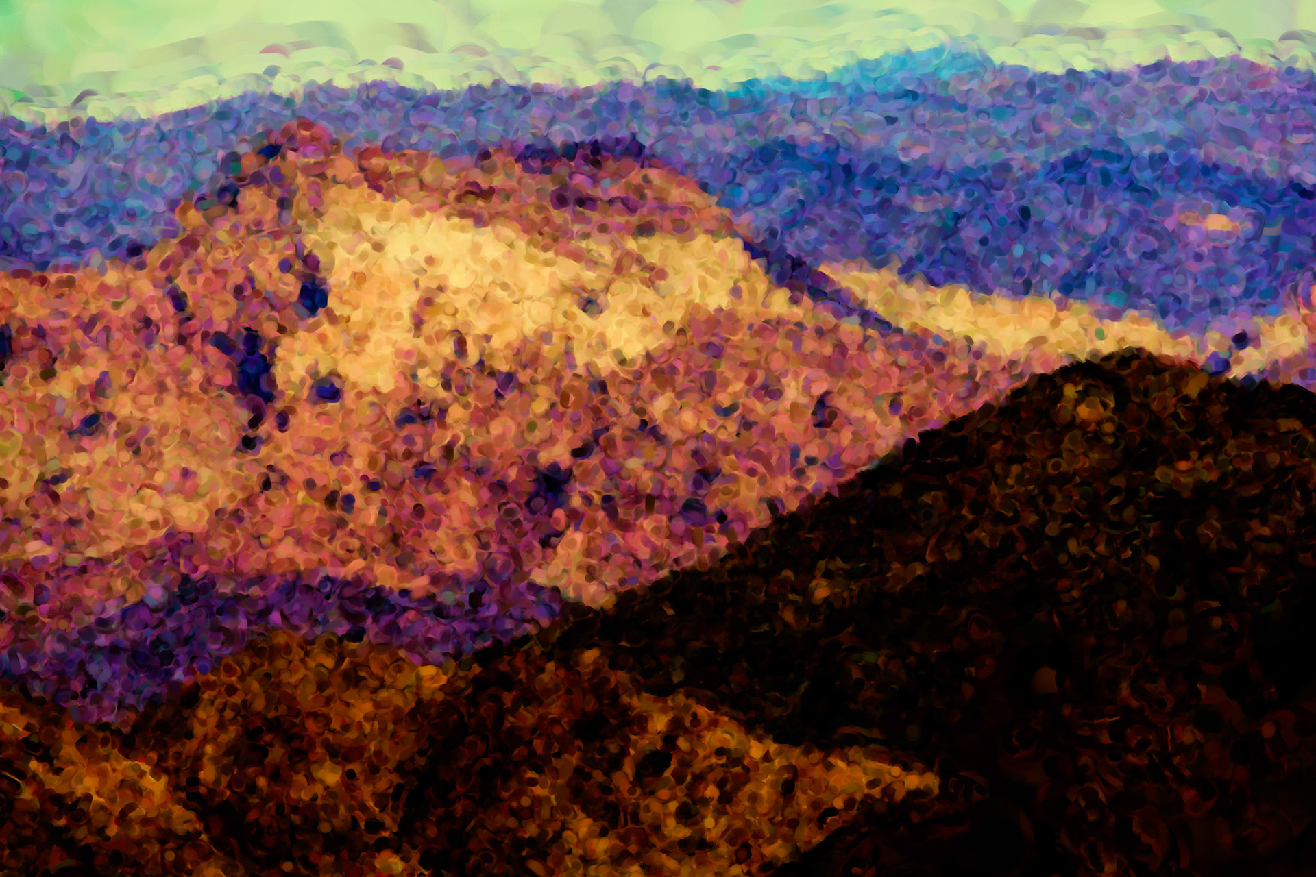 Paintings 00322