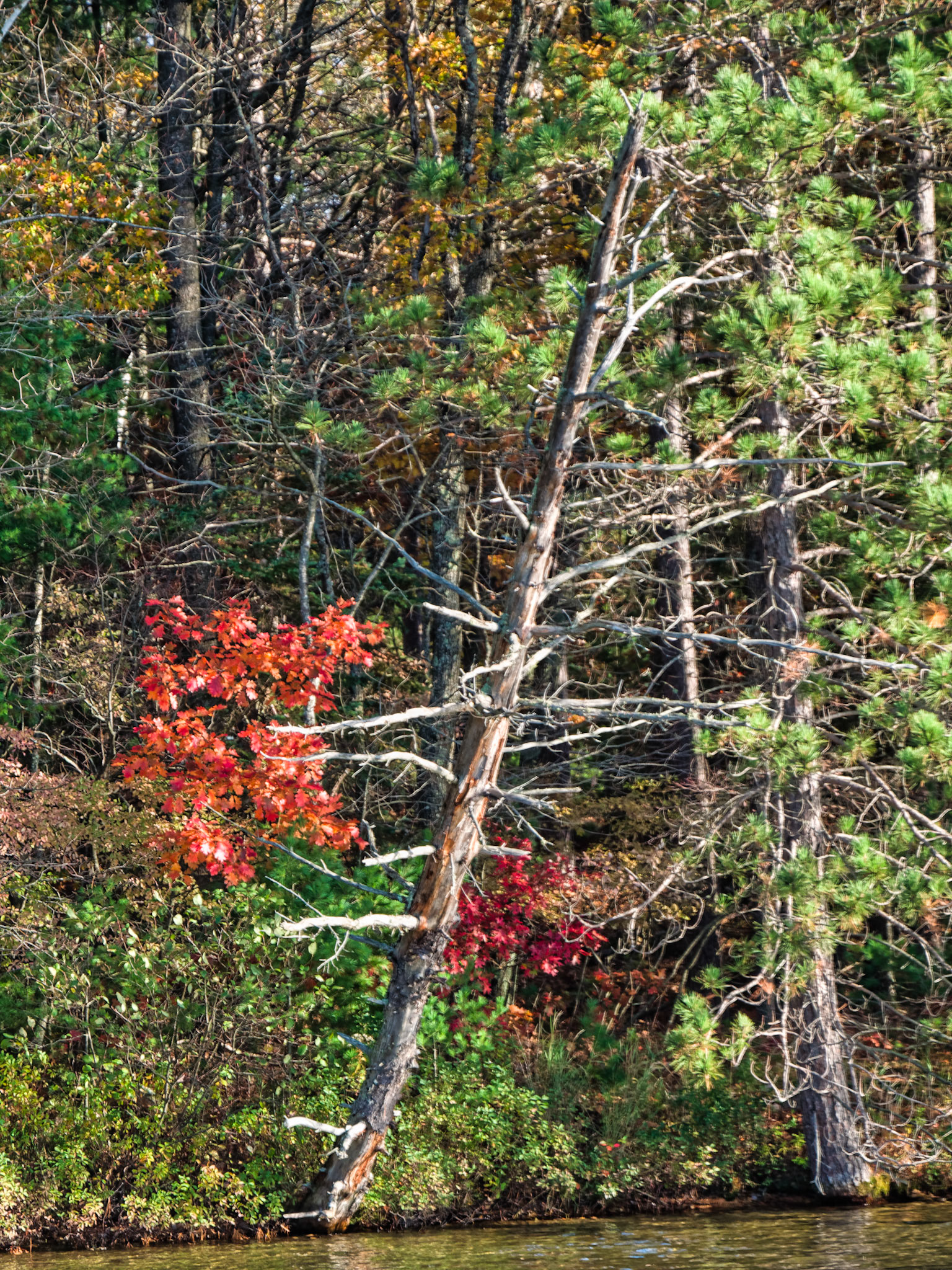 WI Fence 00071