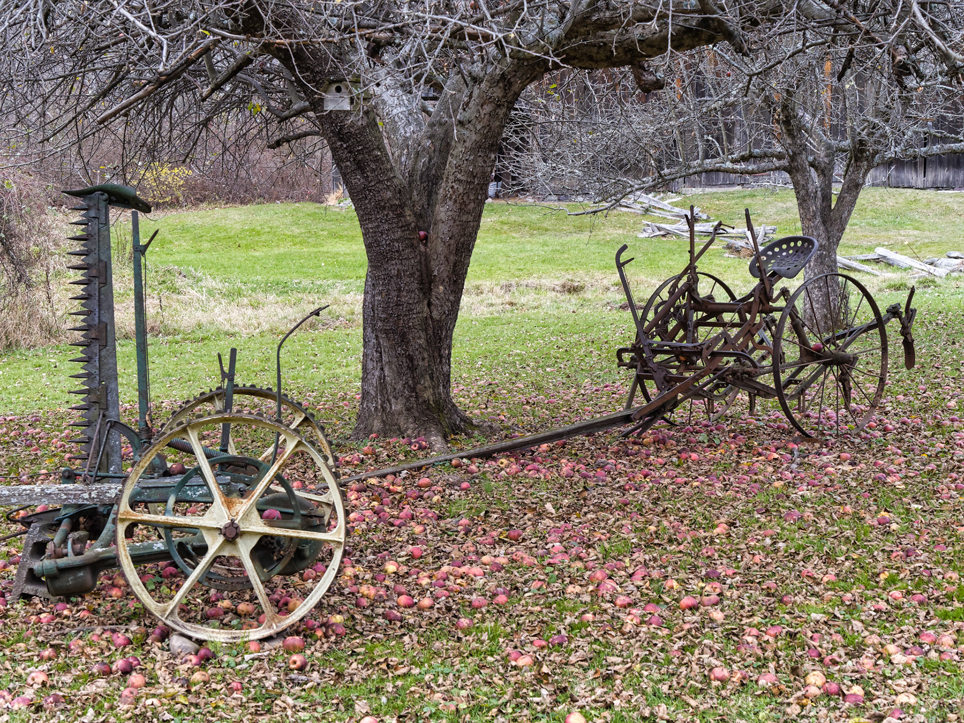 NJ Historic Towns 00067