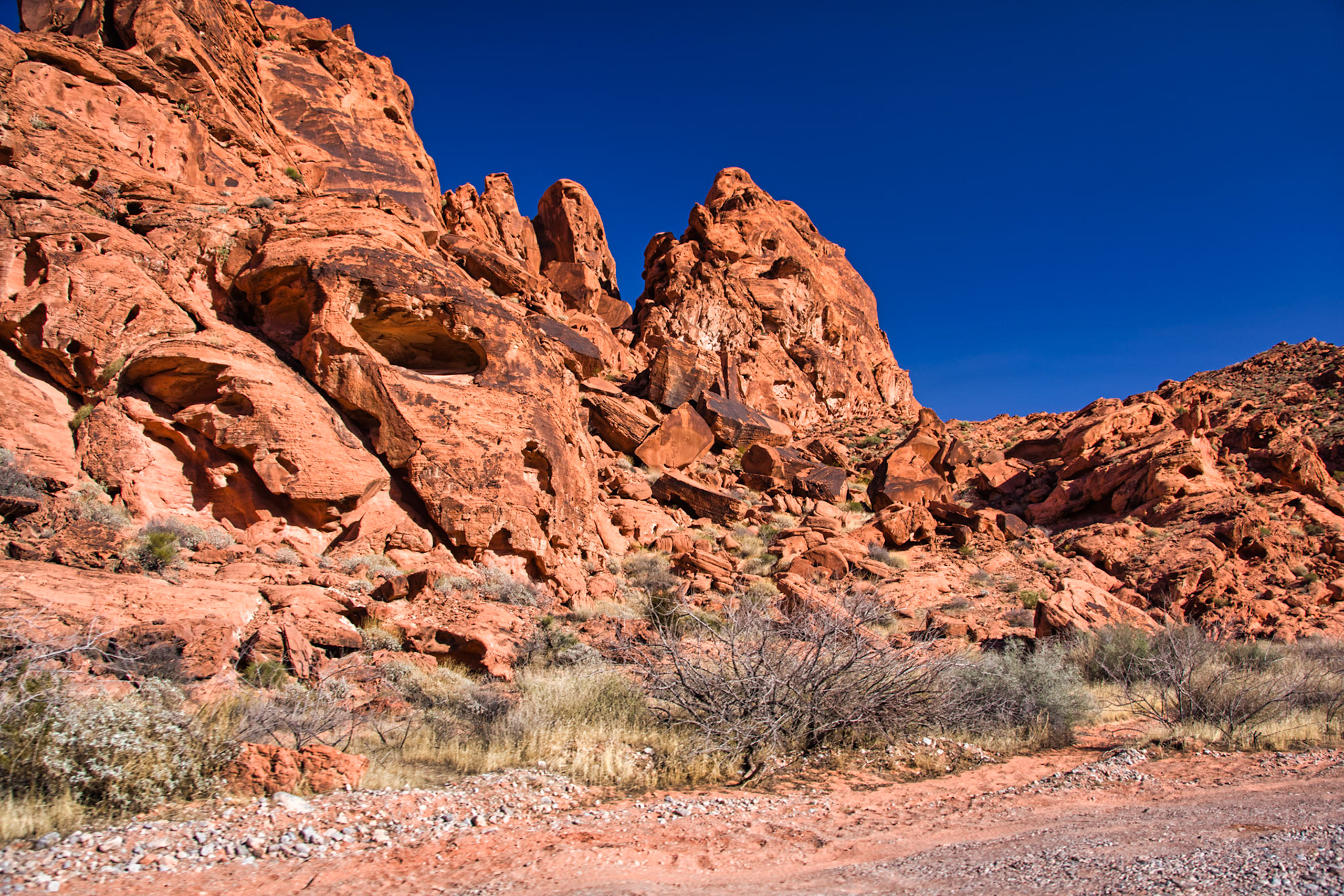 NV Desert 00098