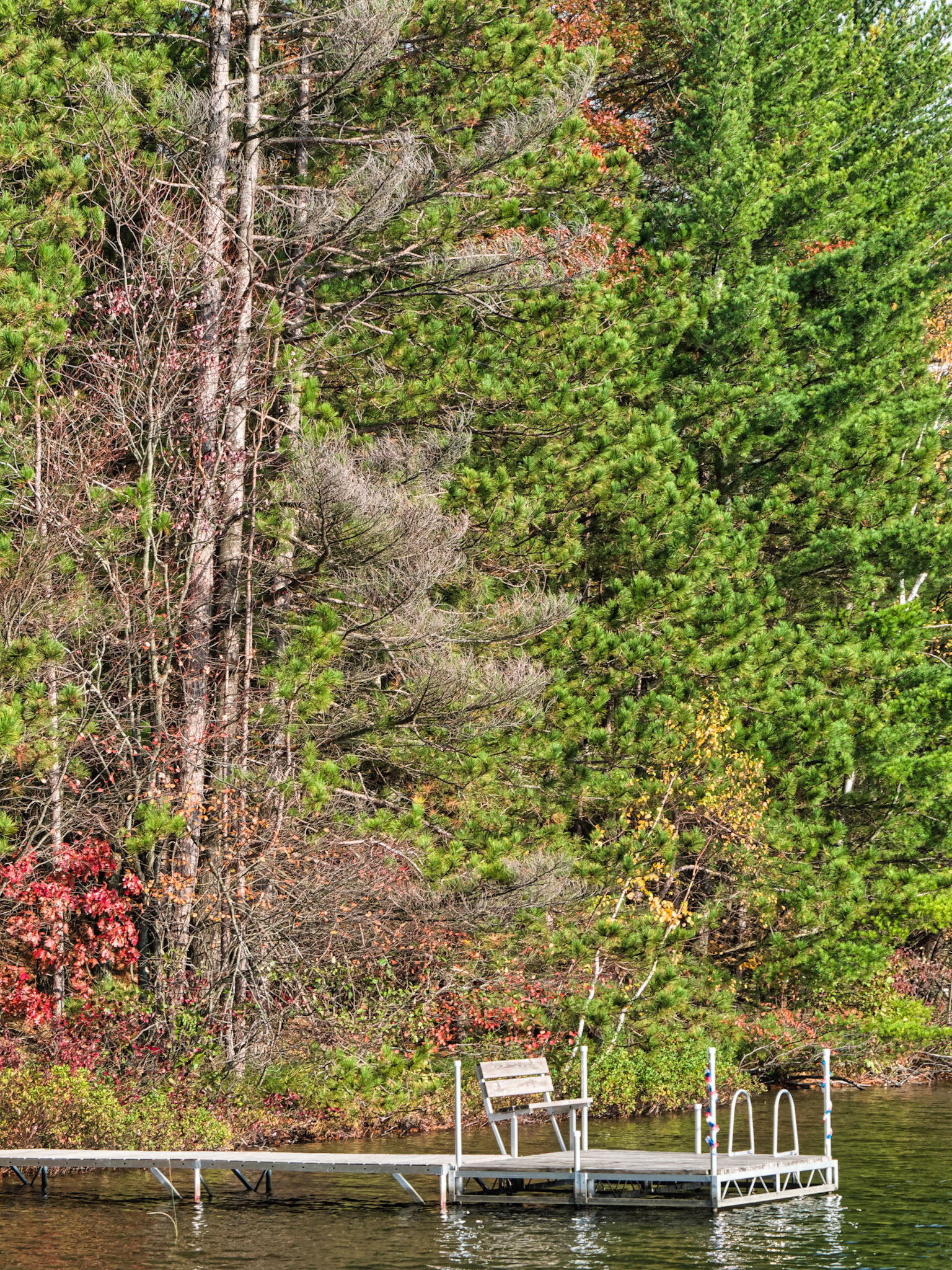 WI Fence 00090