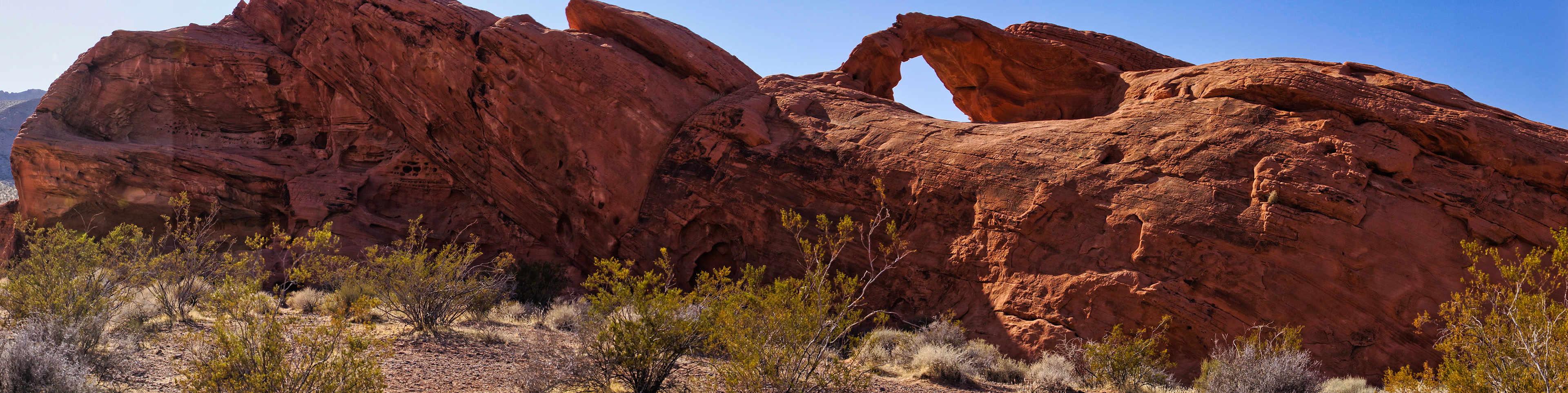 NV Desert 00077