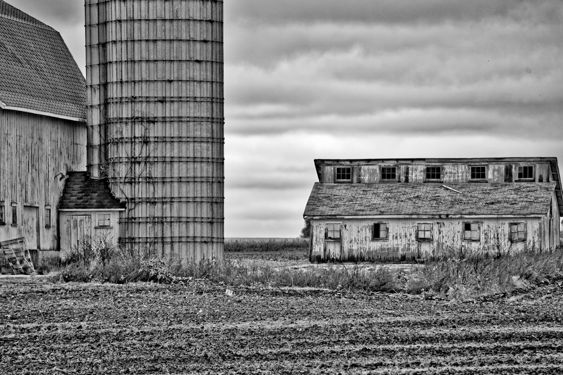 Black & White 00233
