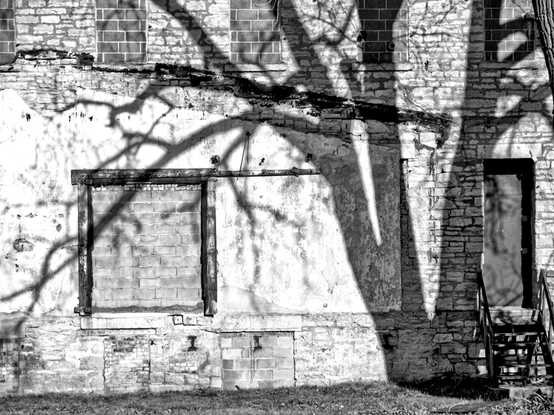 Black & White 00027