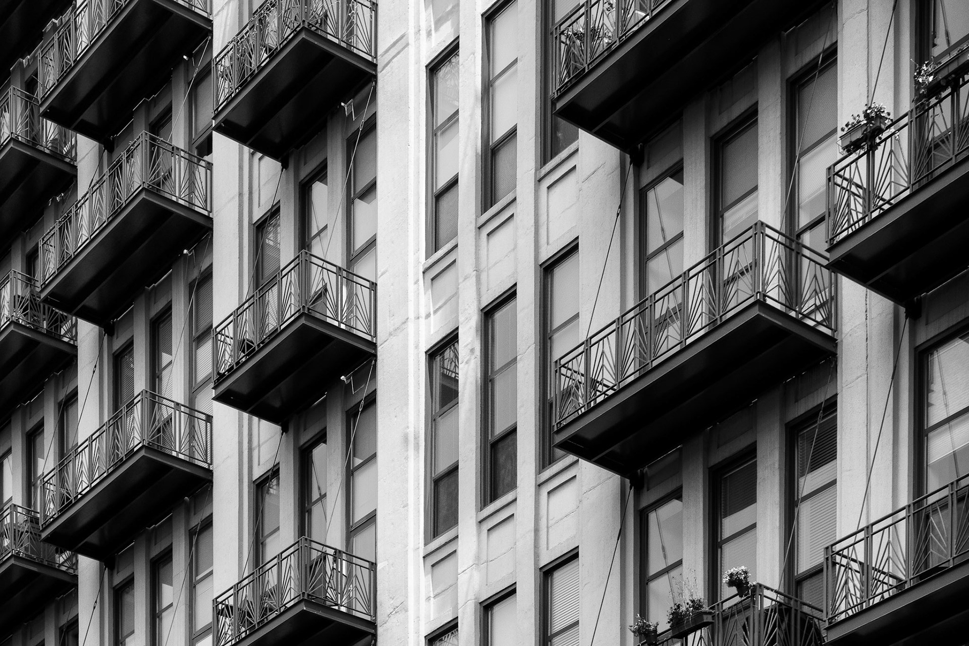 Black & White 00211
