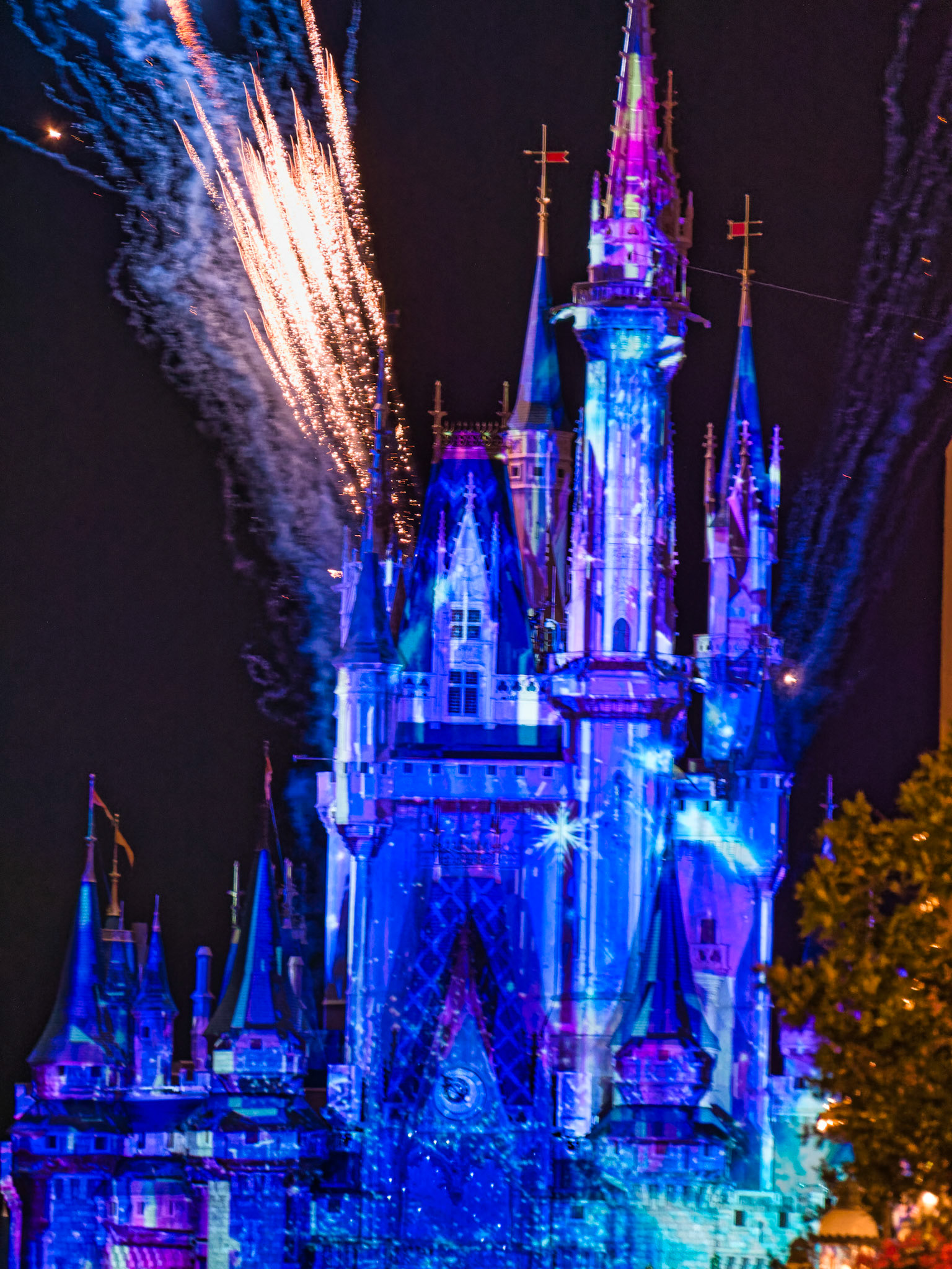 Florida Disney 00074