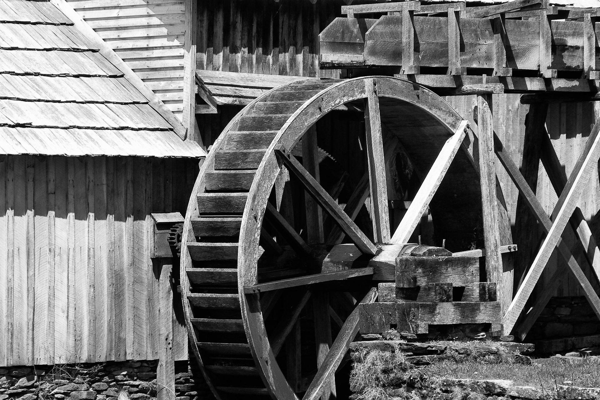 Black & White 00060