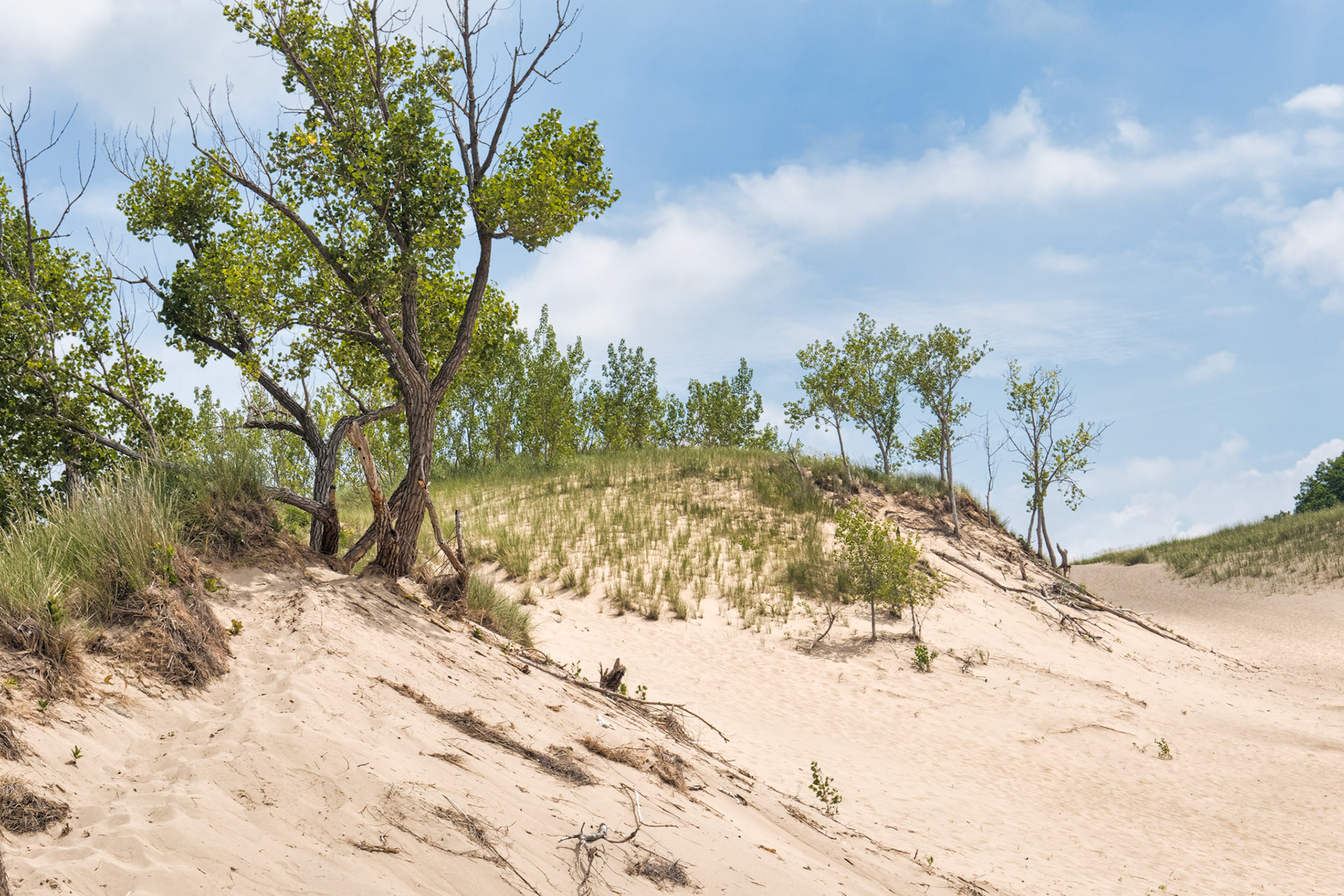 MI Dunes 00005
