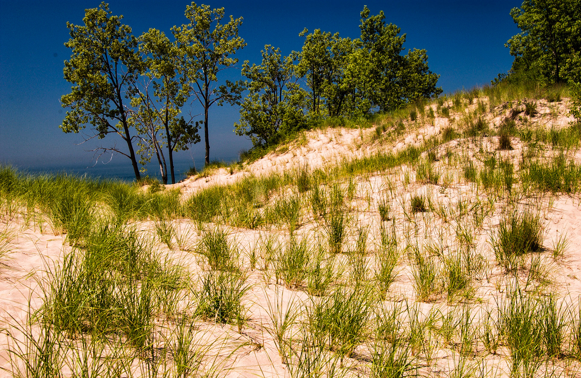 MI Dunes 00124