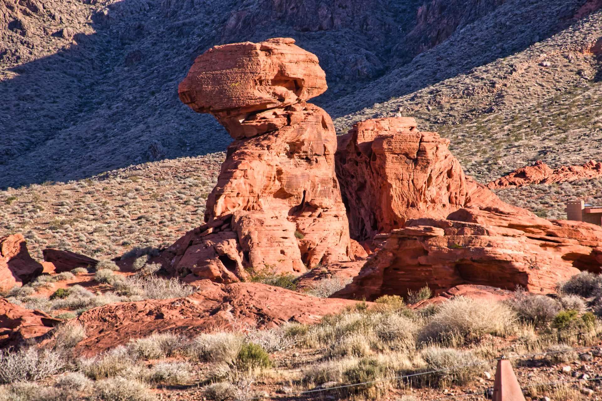 NV Desert 00065
