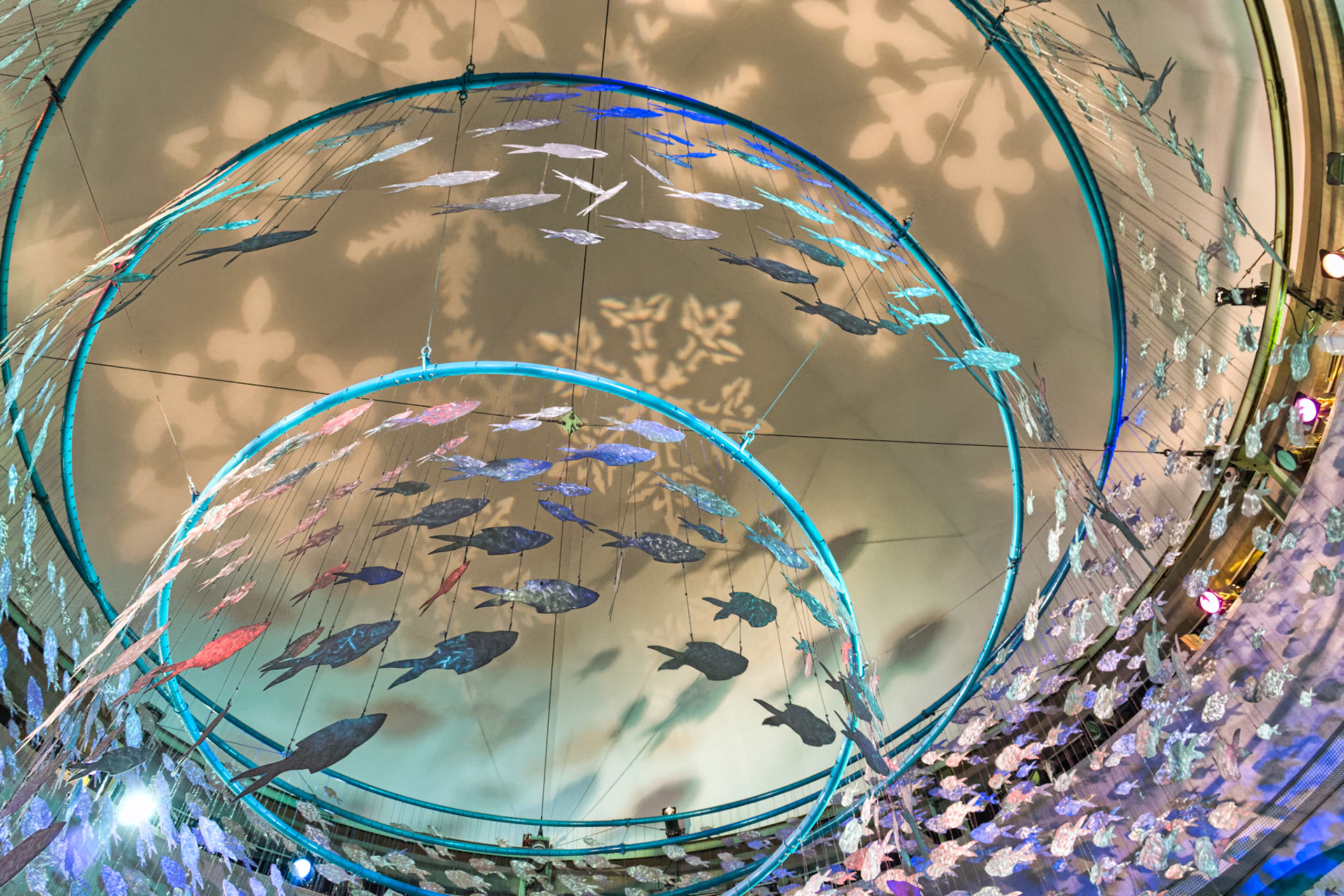 NJ Aquarium 00006