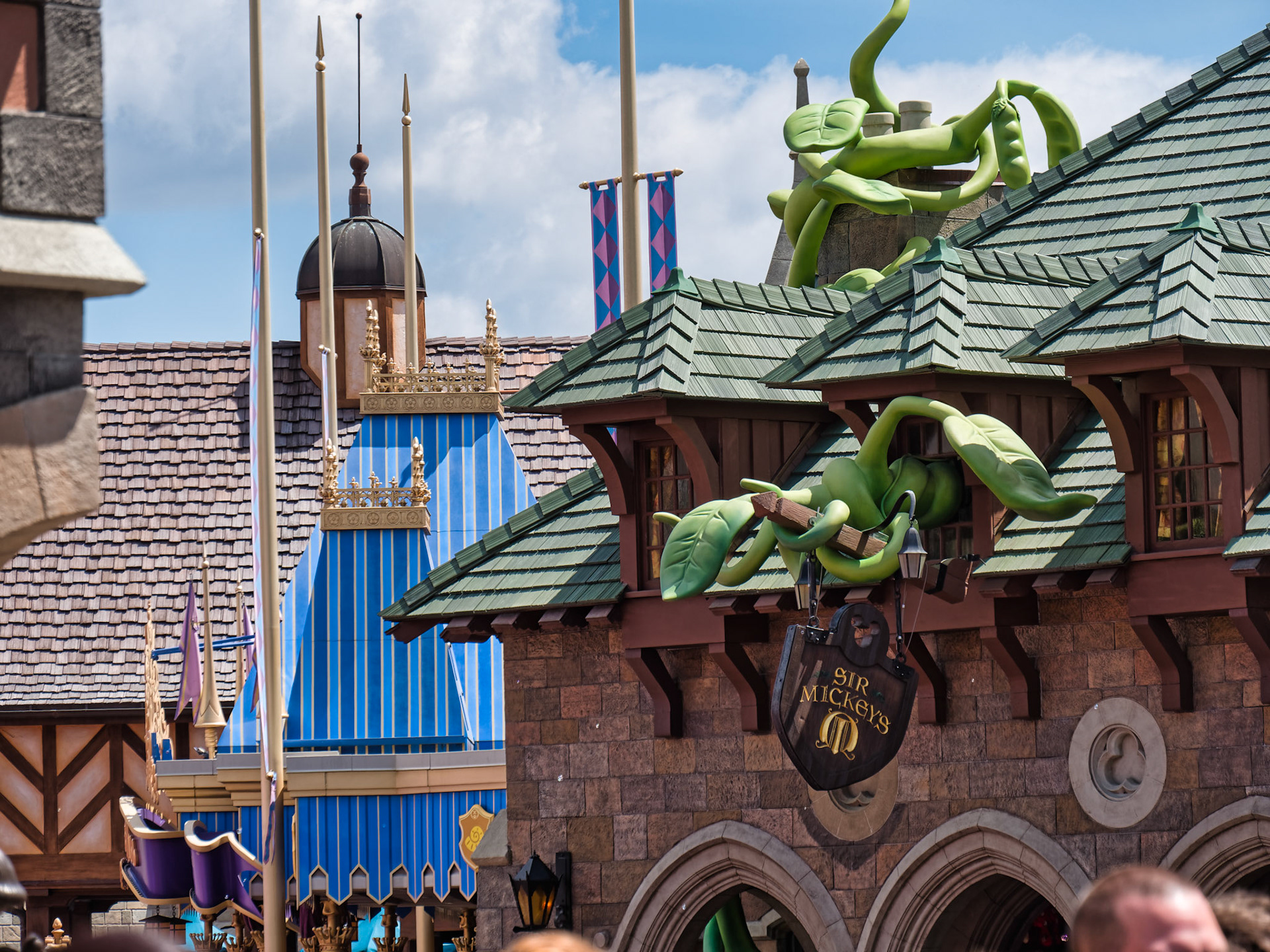 Florida Disney 00052