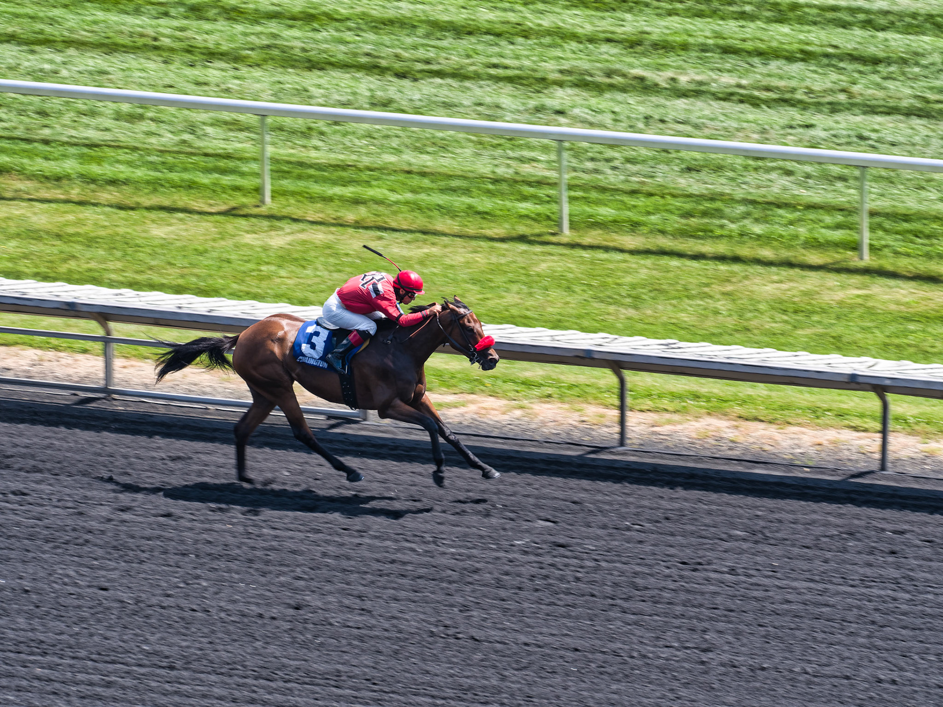 IL Arlington Park 00017
