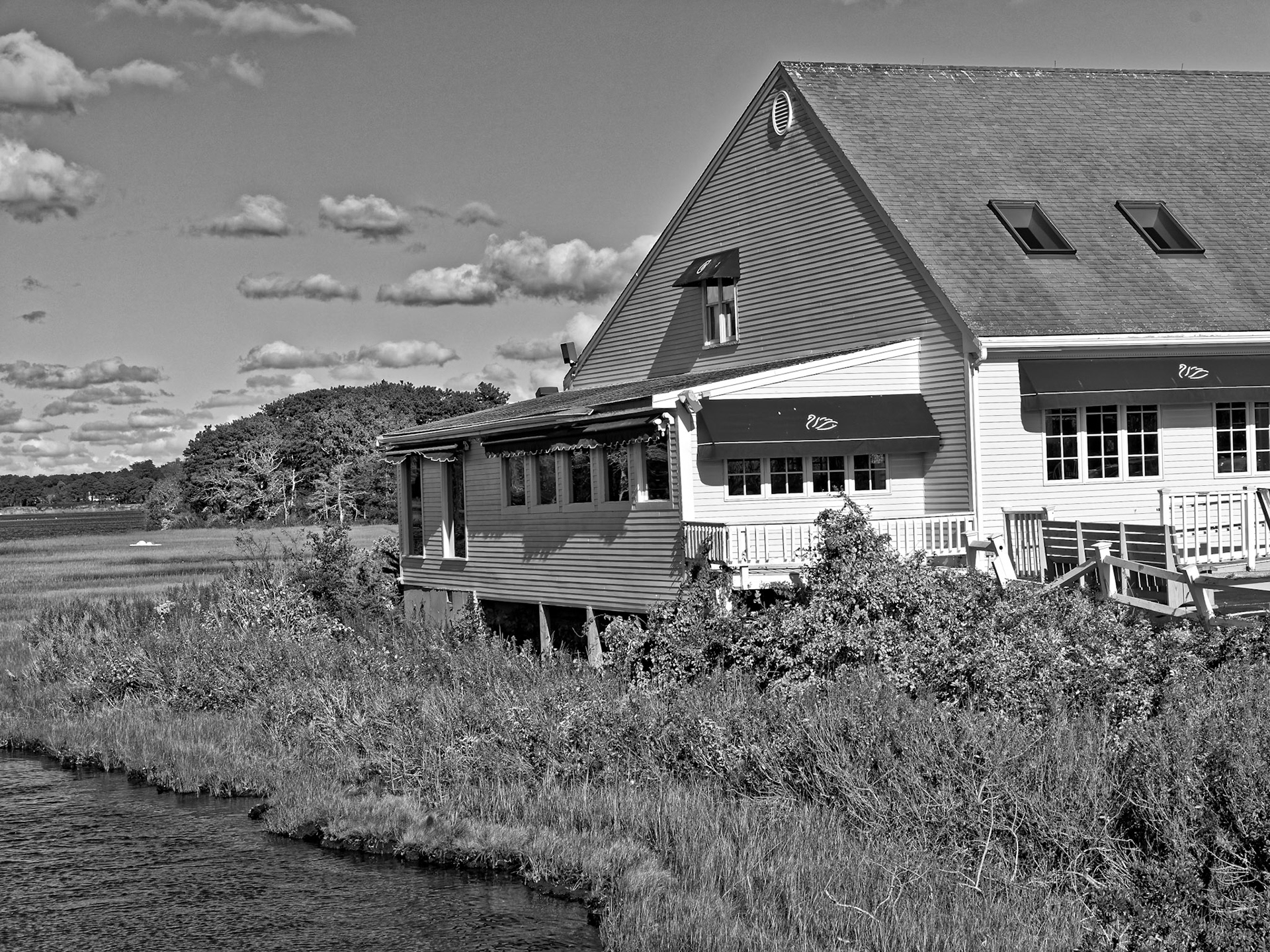 Black & White 00003