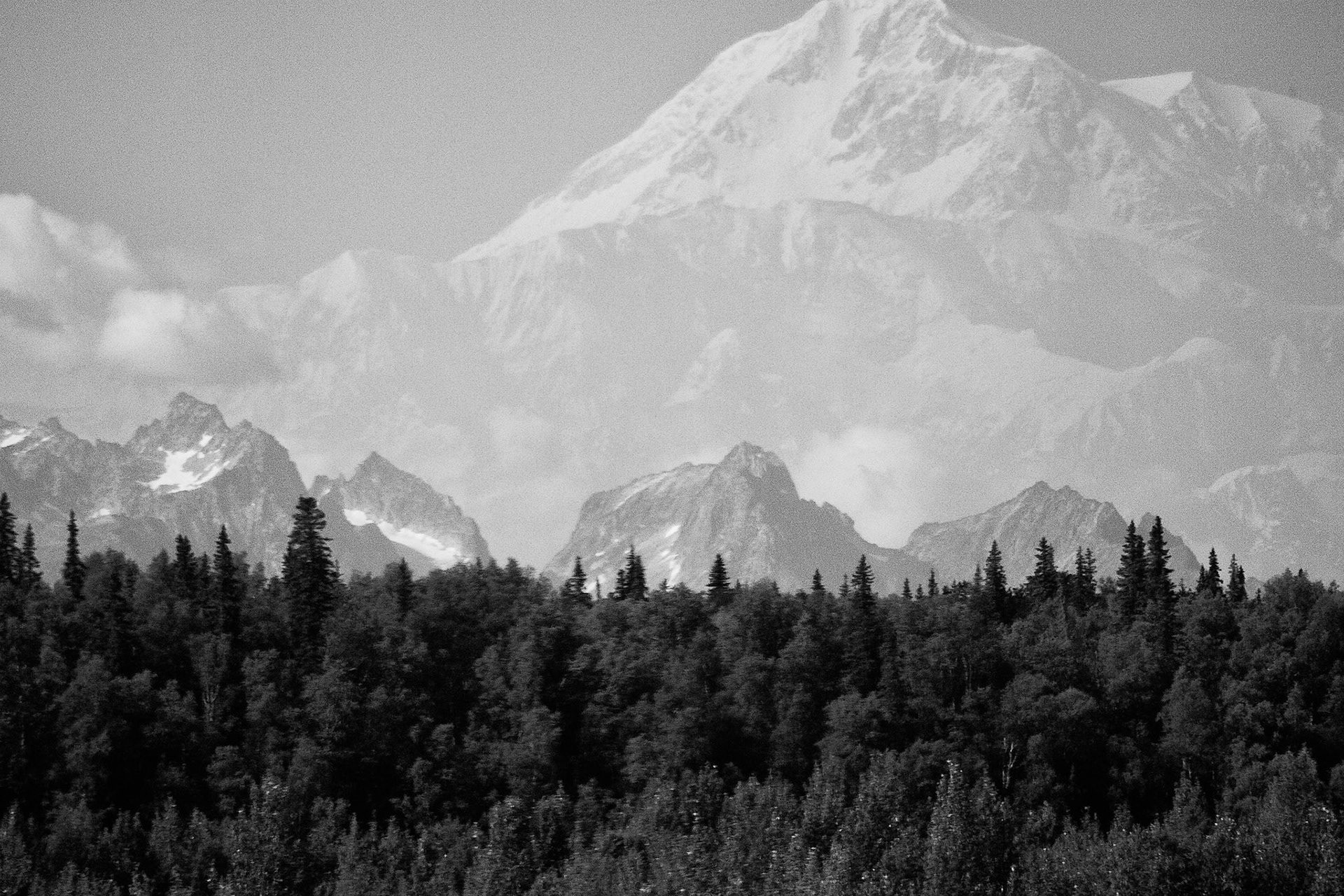 Black & White 00068