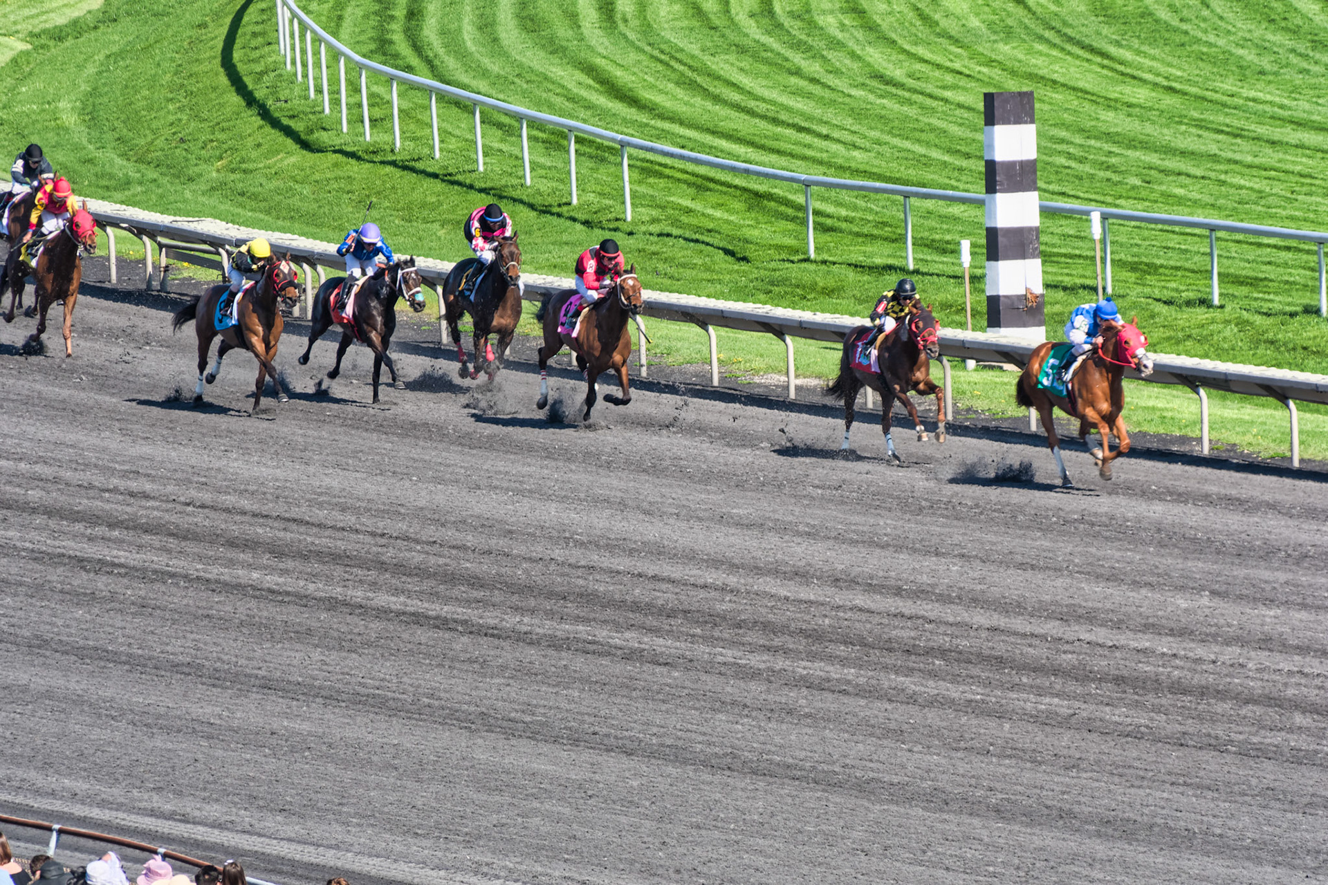 IL Arlington Park 00042