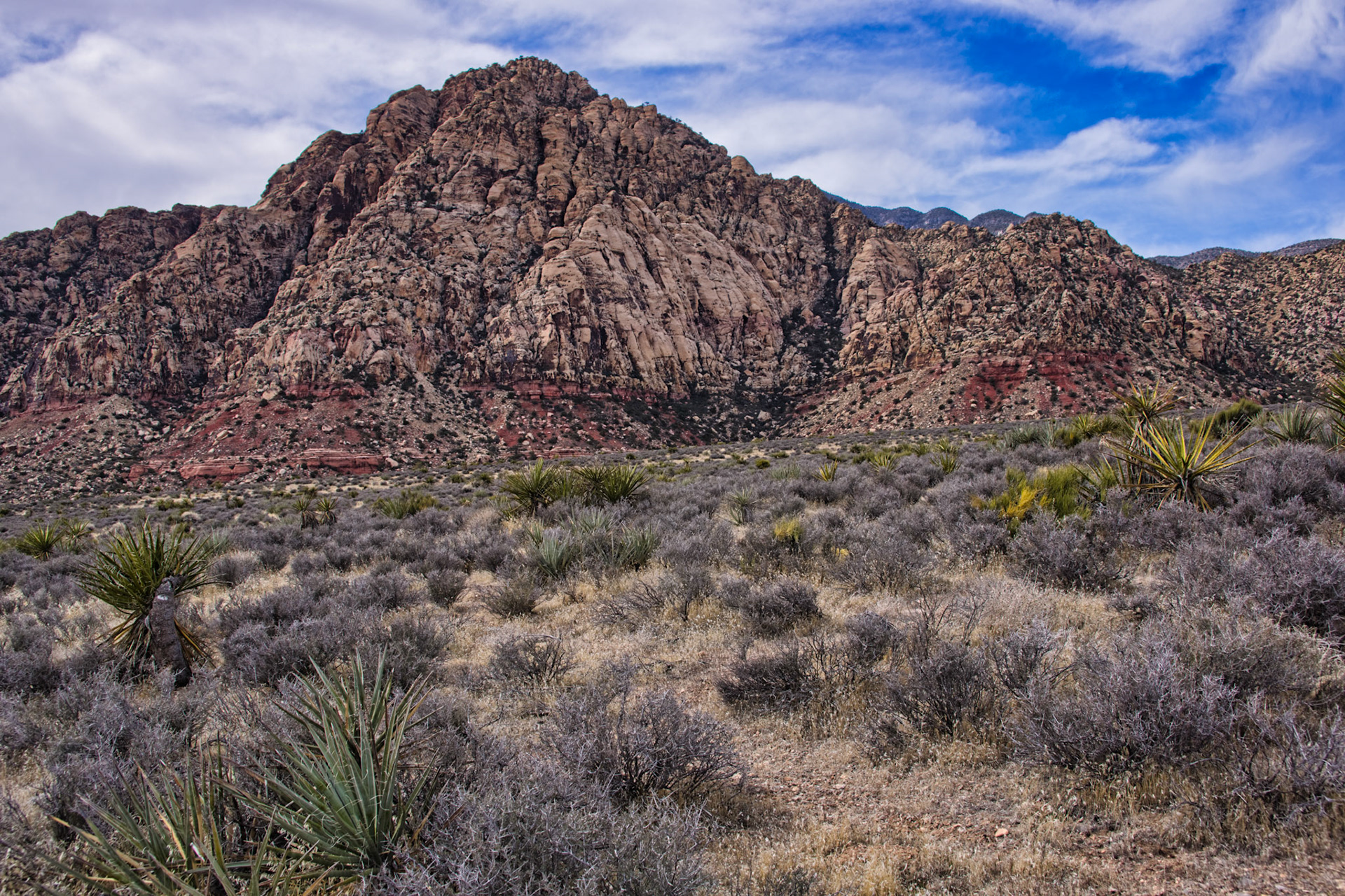 NV Desert 00177