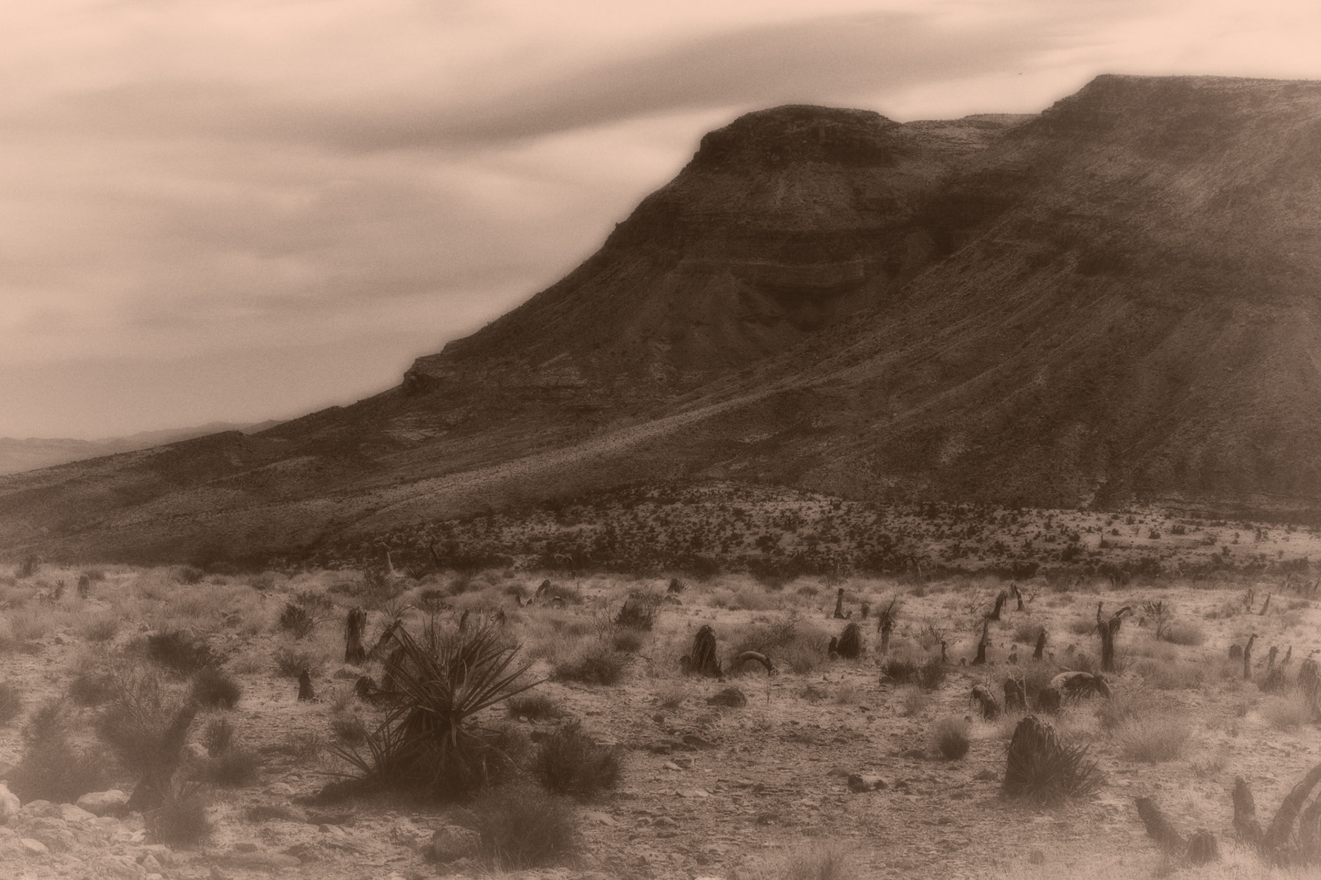 Black & White 00202