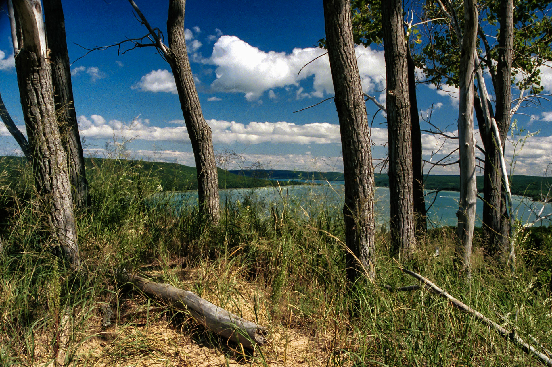MI Mackinaw and Traverse City 00010