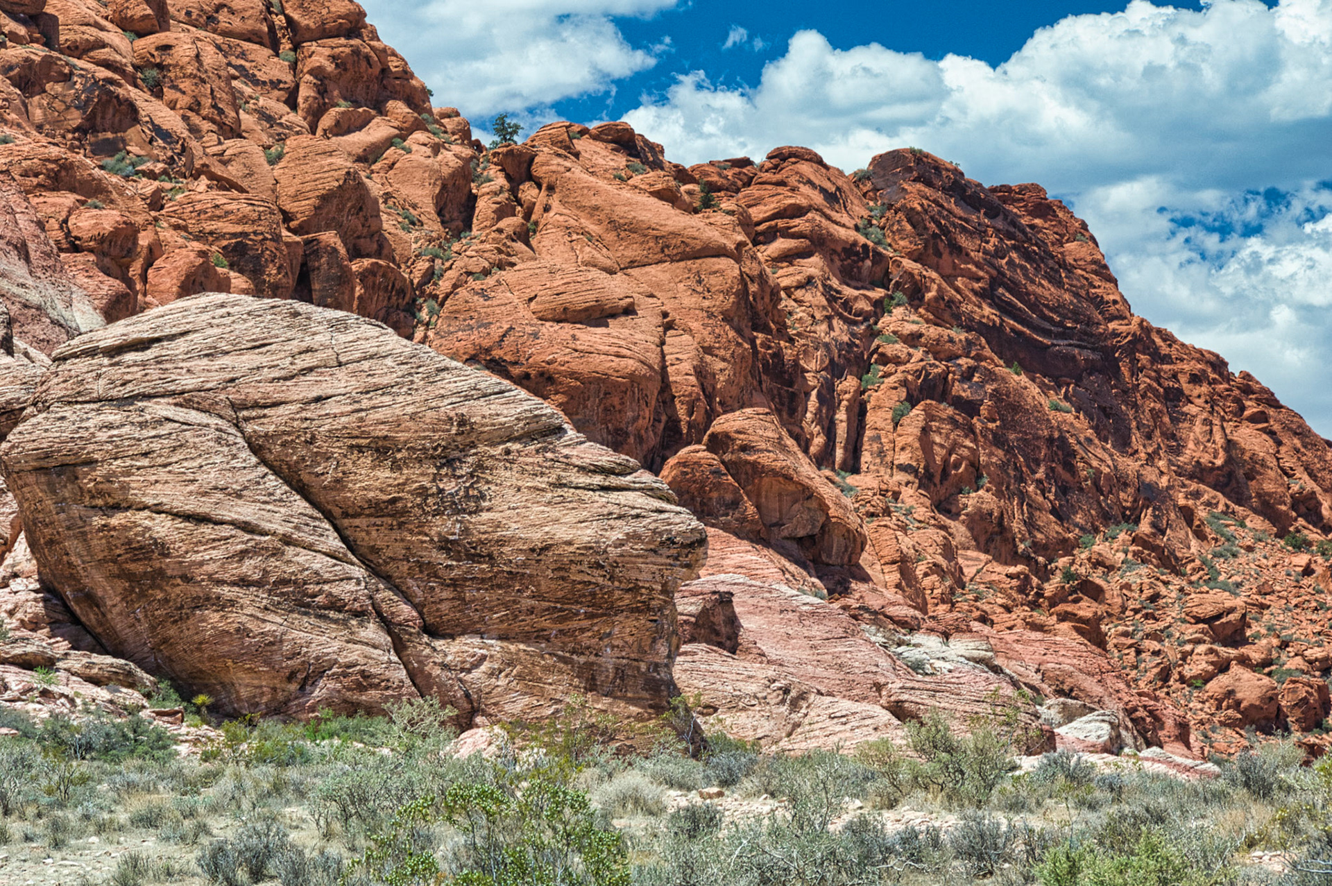 NV Desert 00014