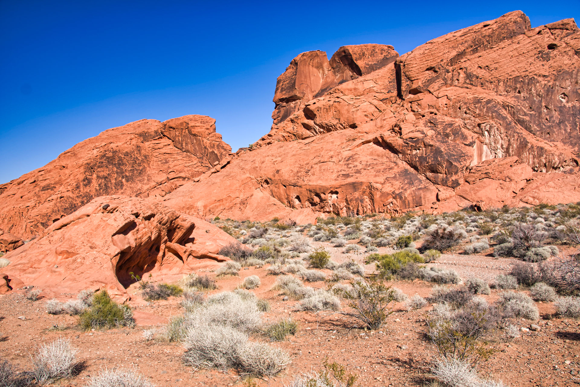 NV Desert 00079