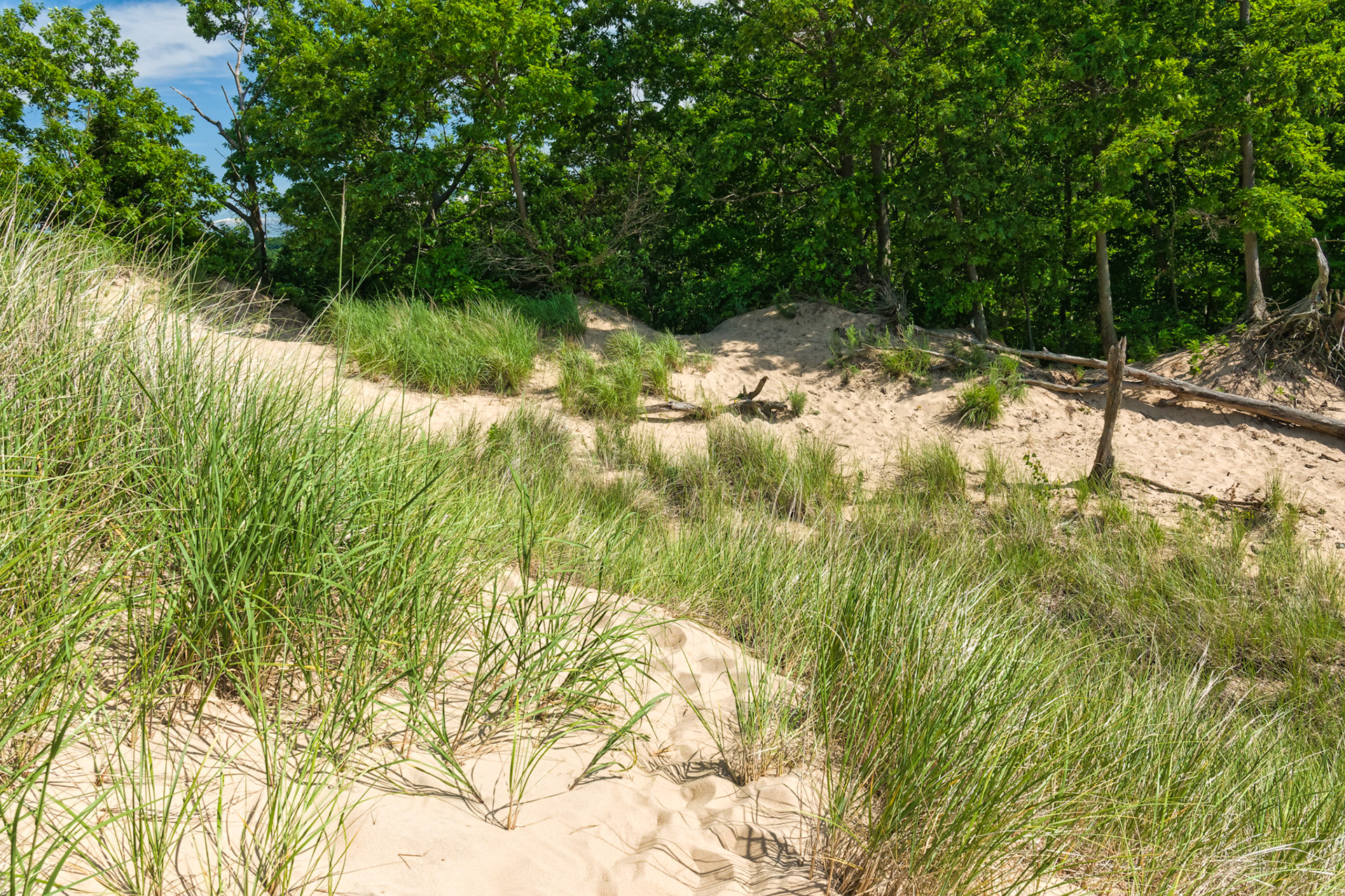 MI Dunes 00092