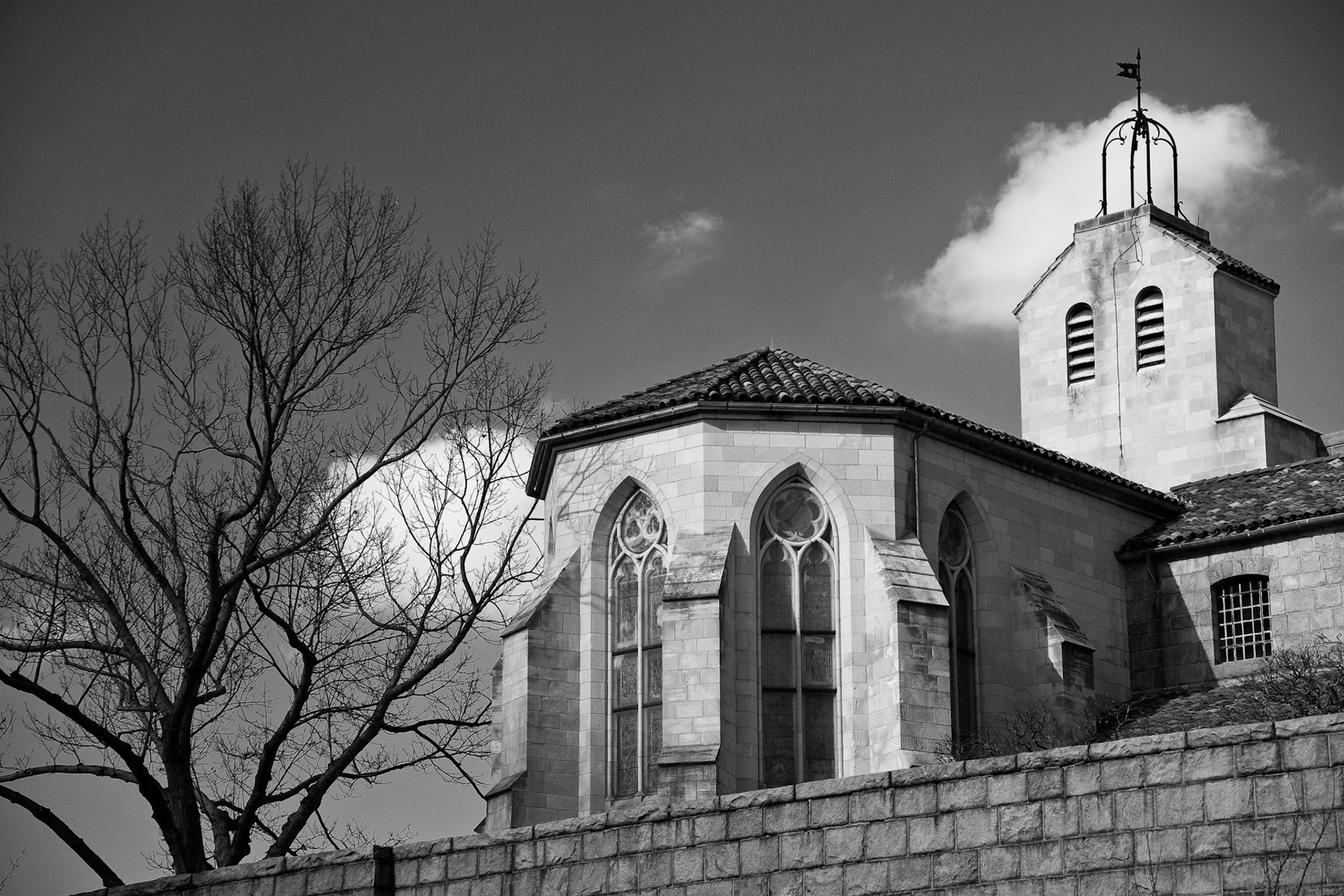 Black & White 00117