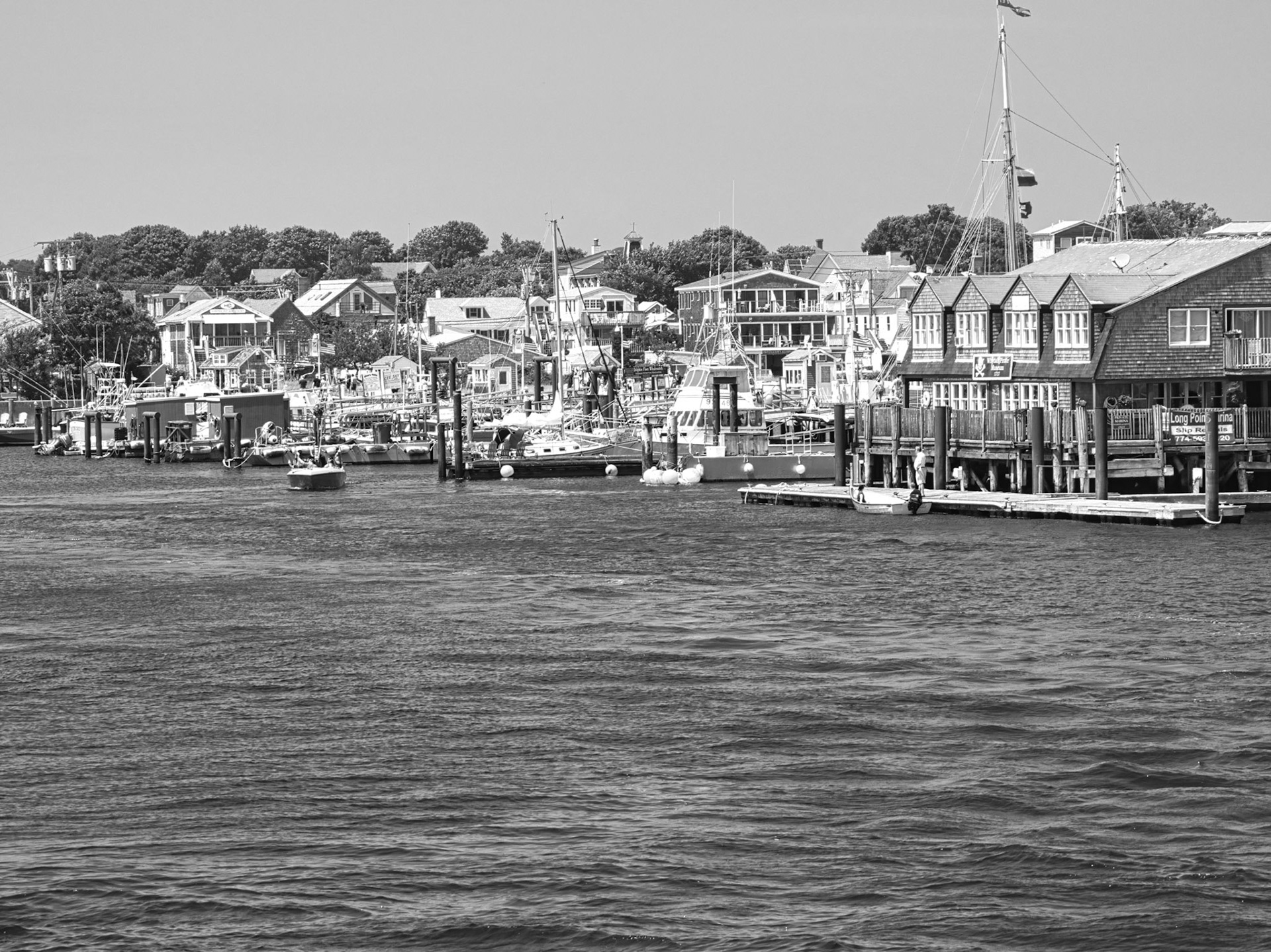 Black & White 00304