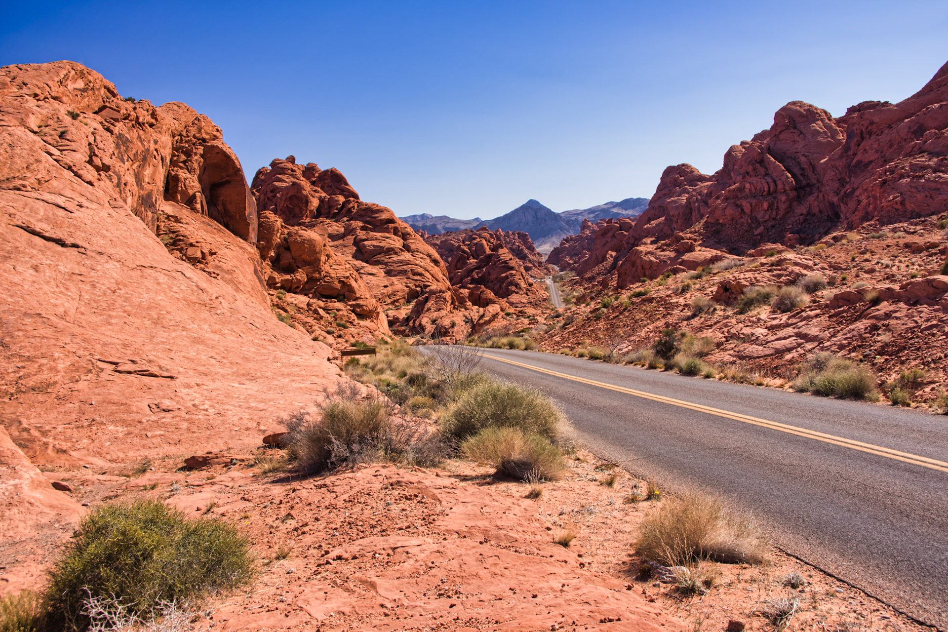 NV Desert 00130
