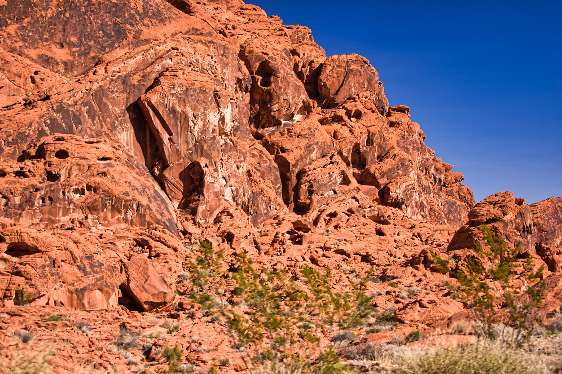 NV Desert 00099