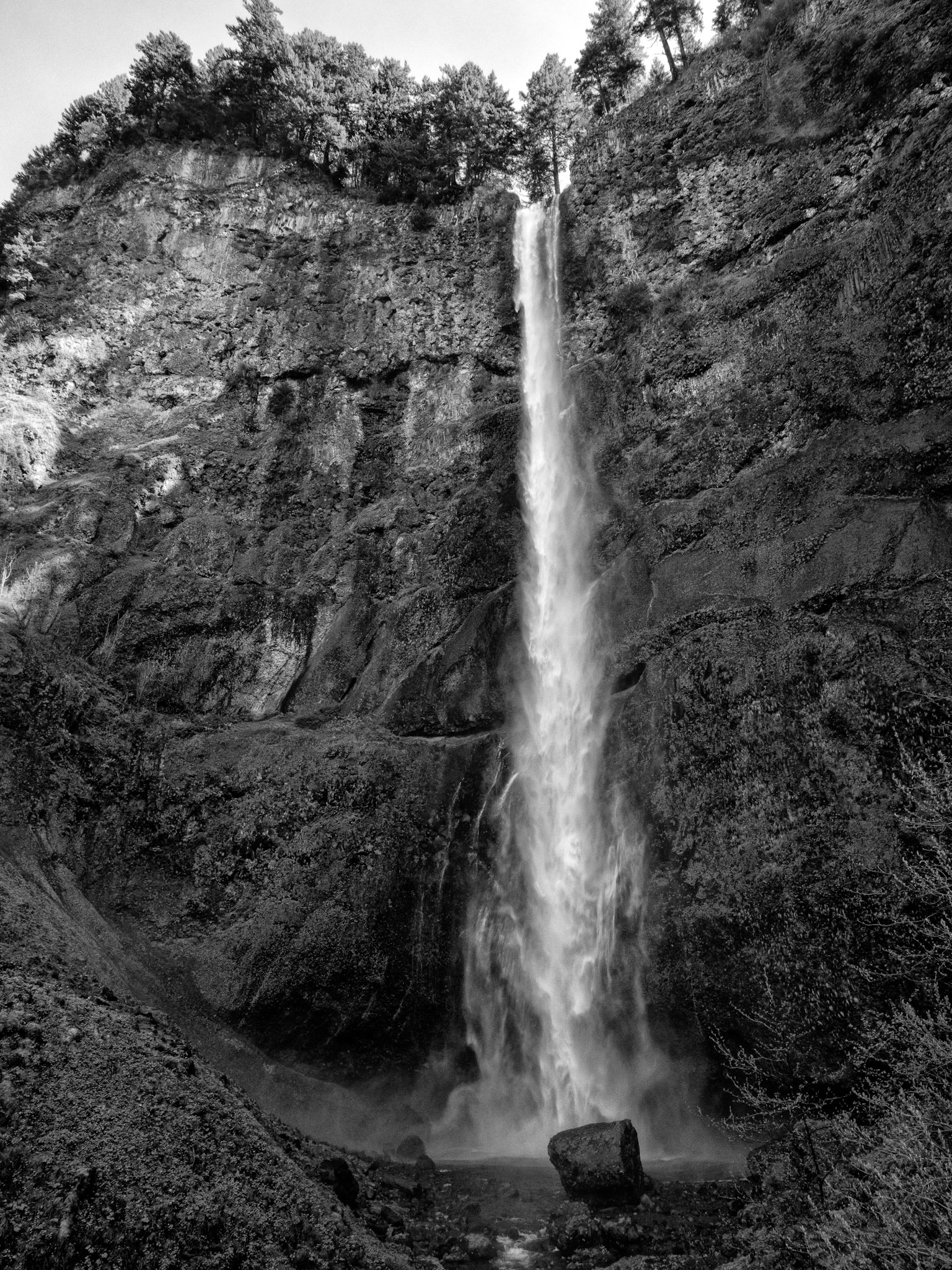Black & White 00163