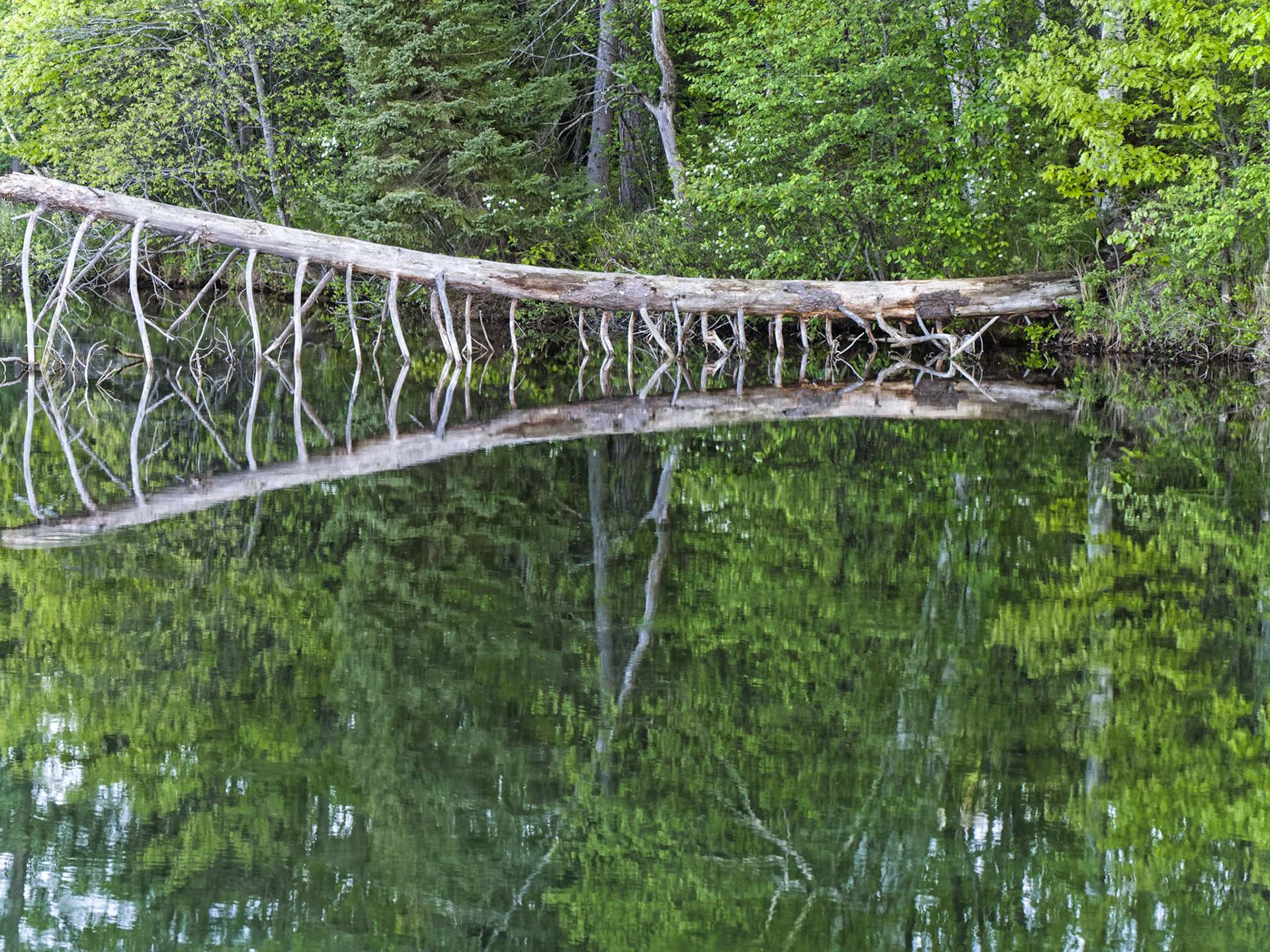 WI Fence 00281