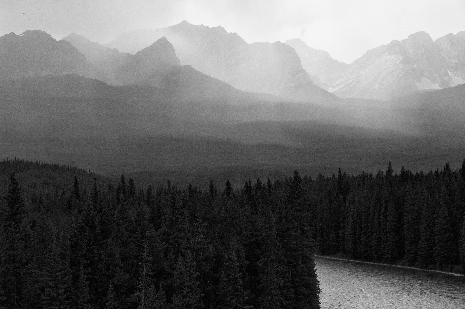 Black & White 00086