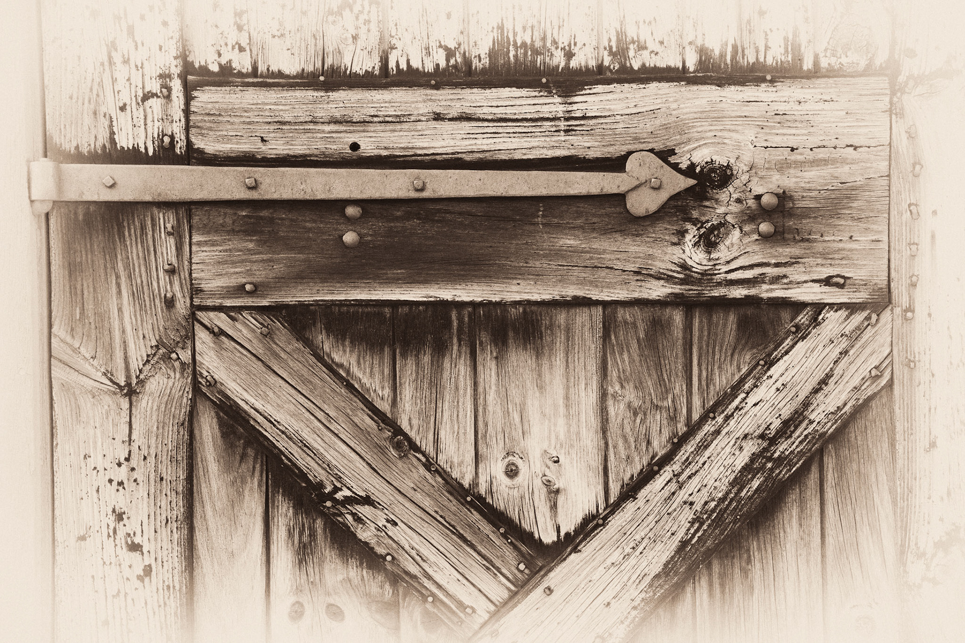 Black & White 00128