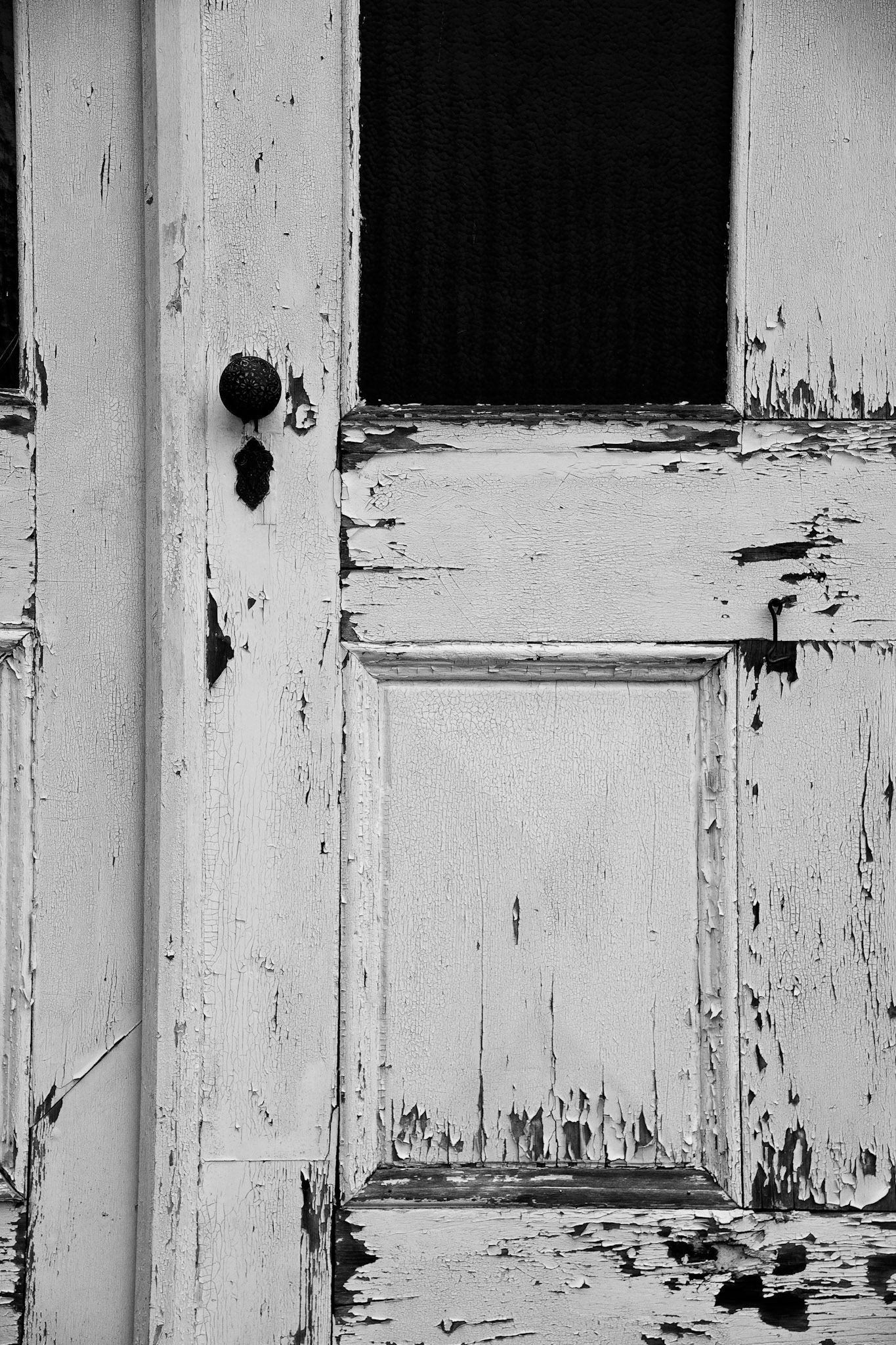 Black & White 00134