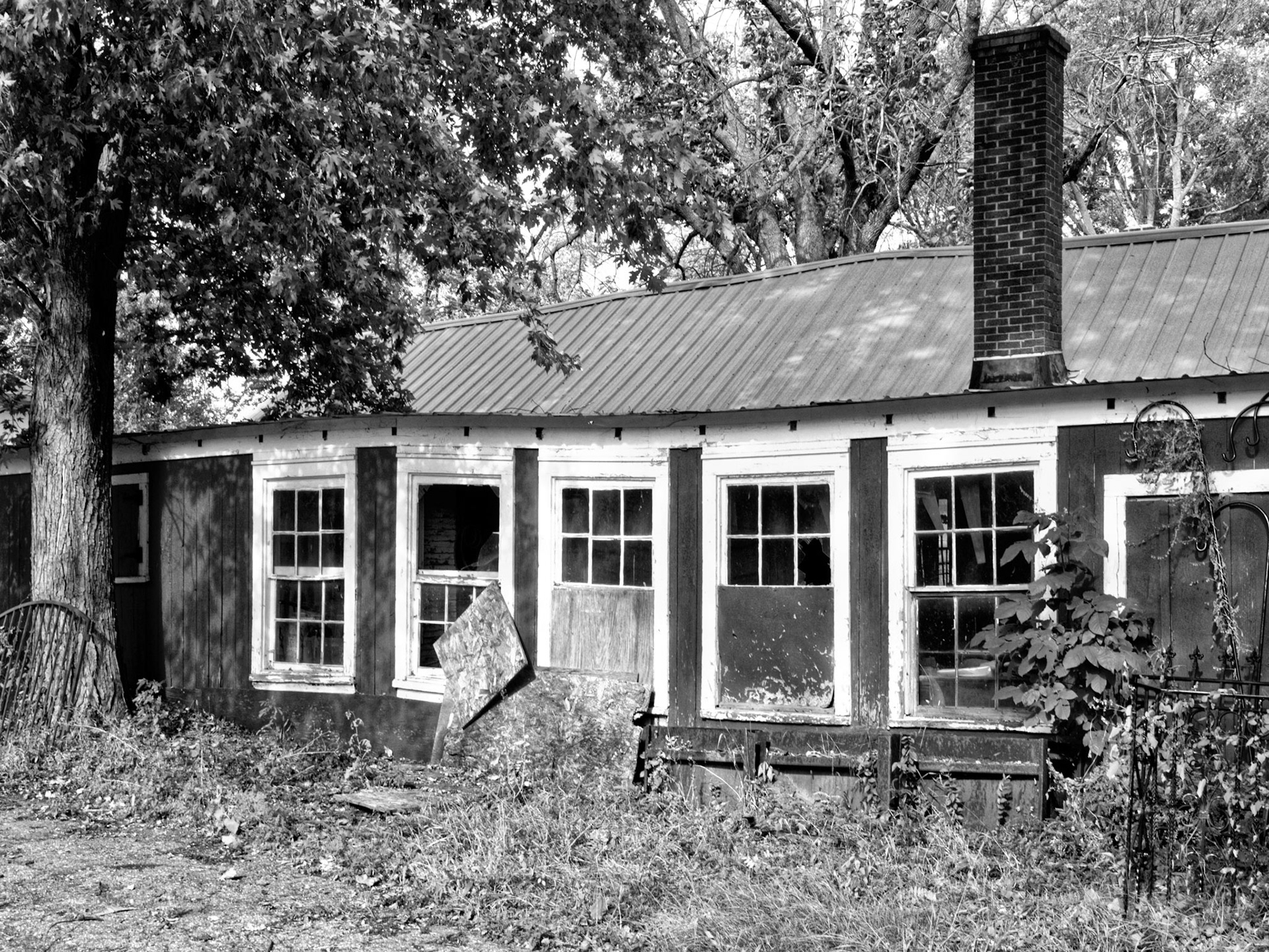 Black & White 00240