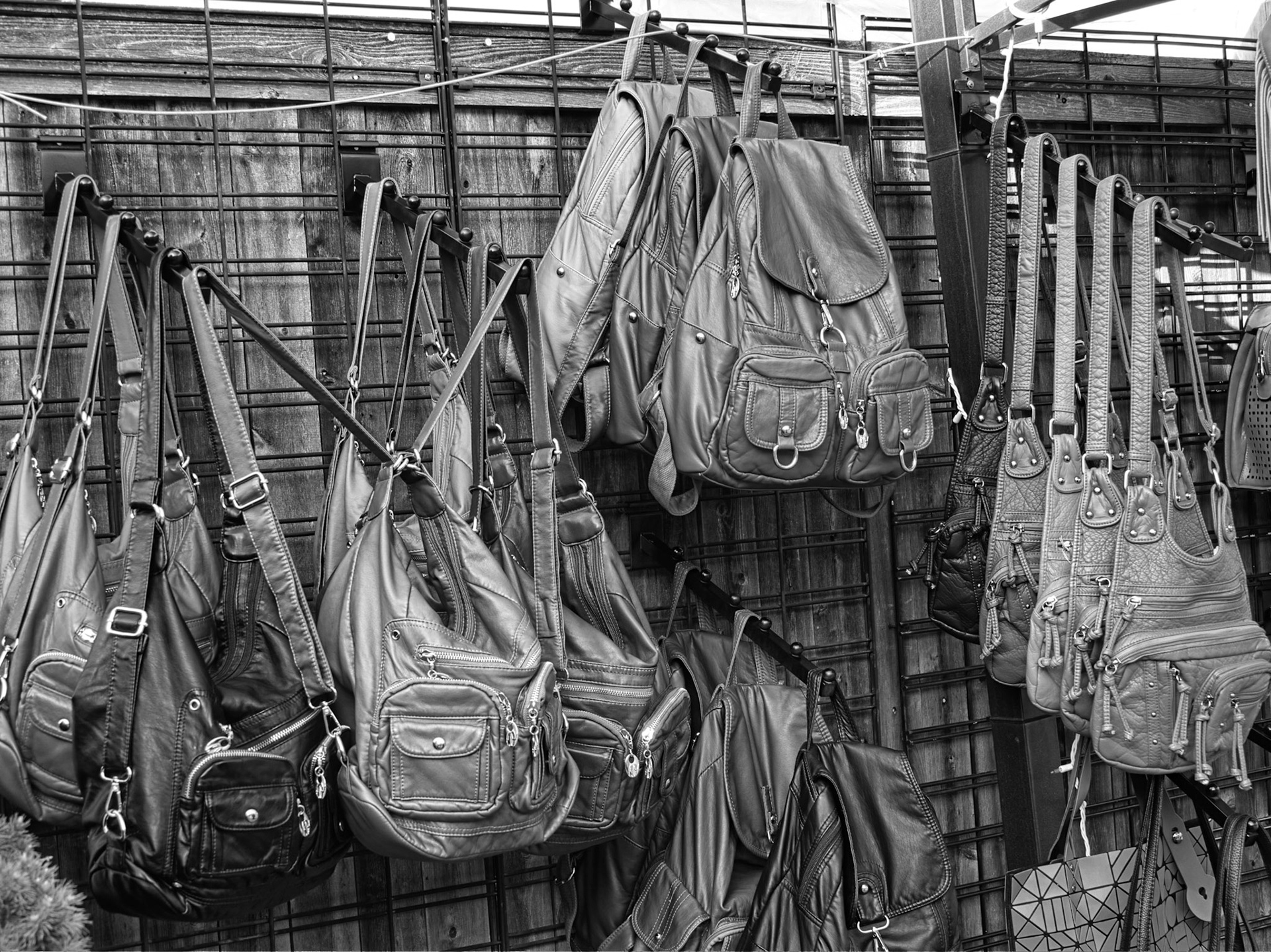 Black & White 00314