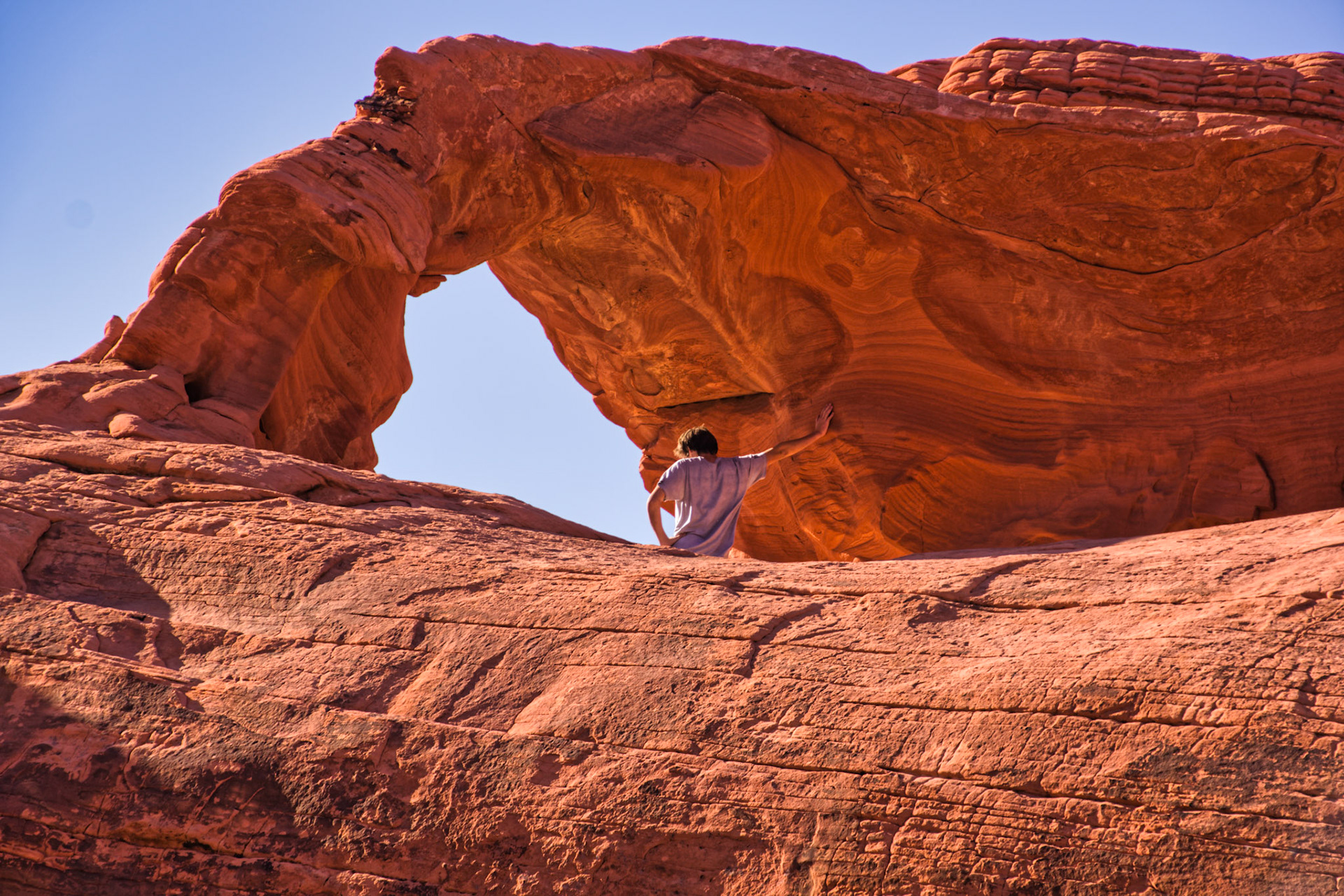 NV Desert 00082