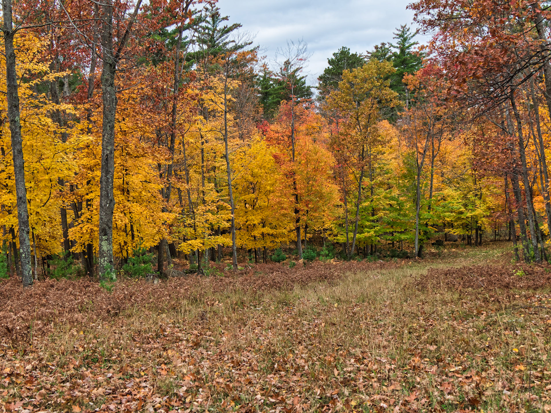 WI Fence 00047
