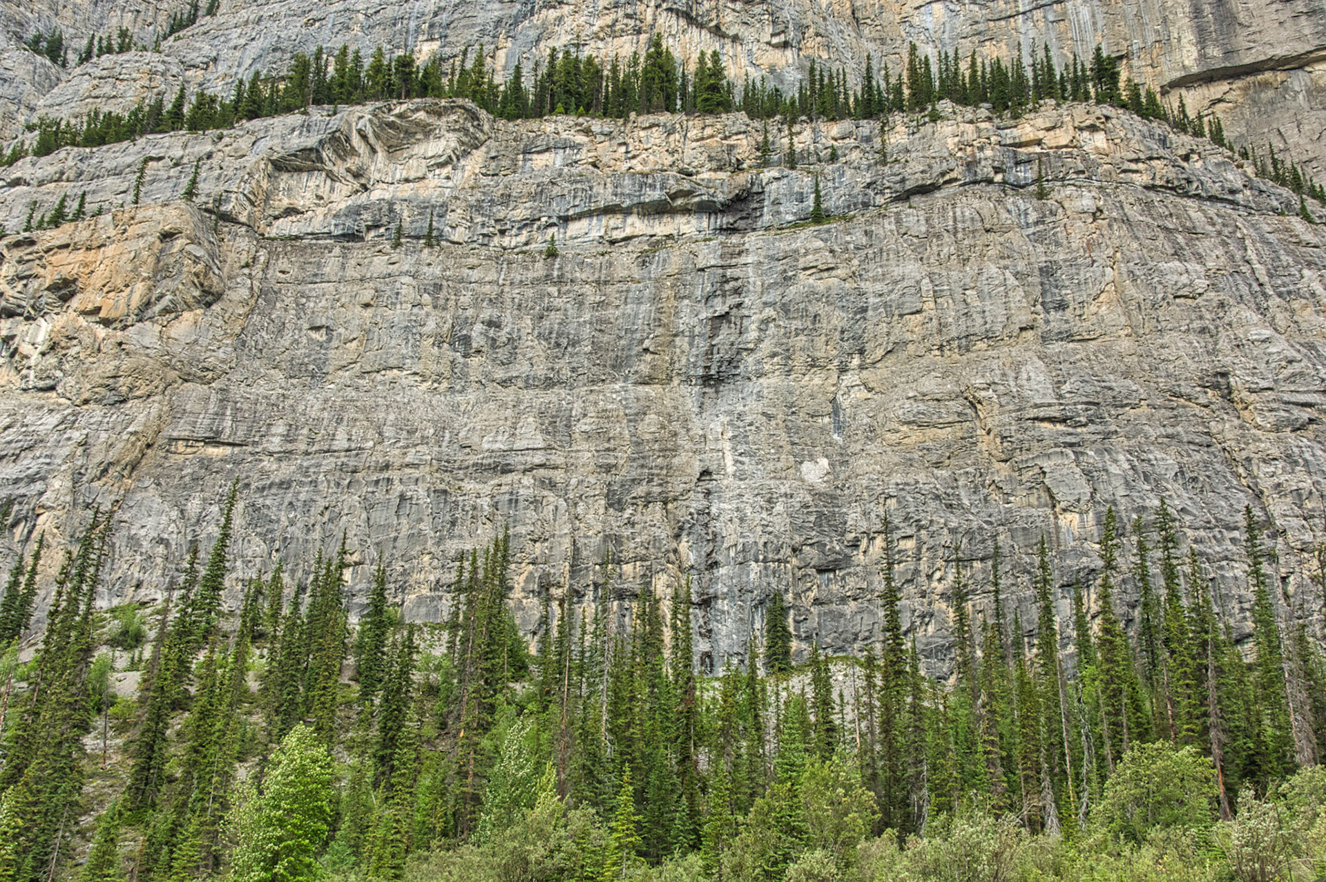 Canada Alberta 00060