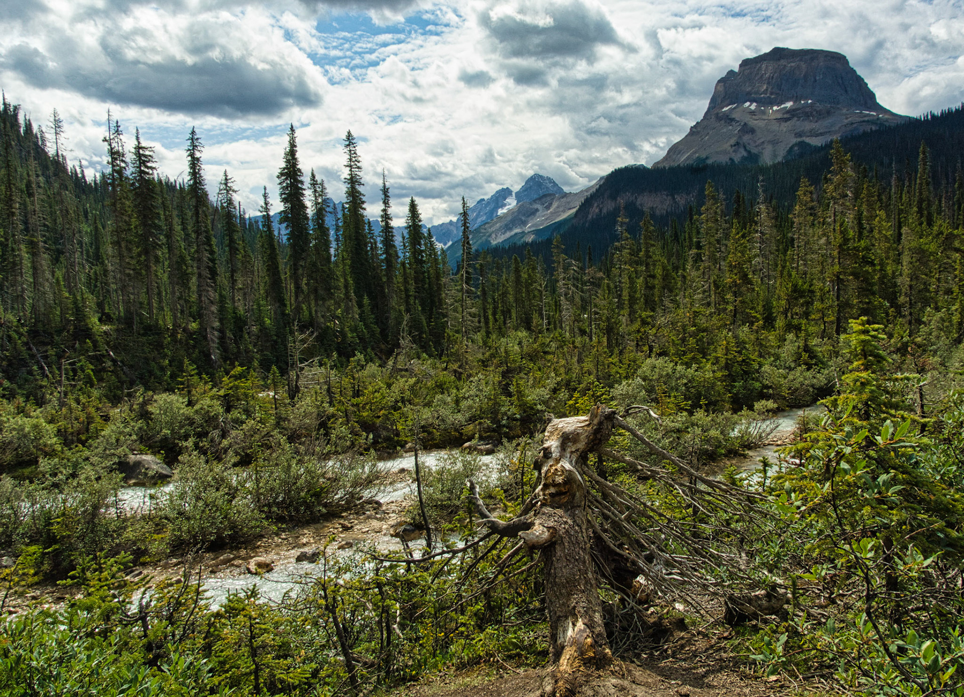 Canada Alberta 00012