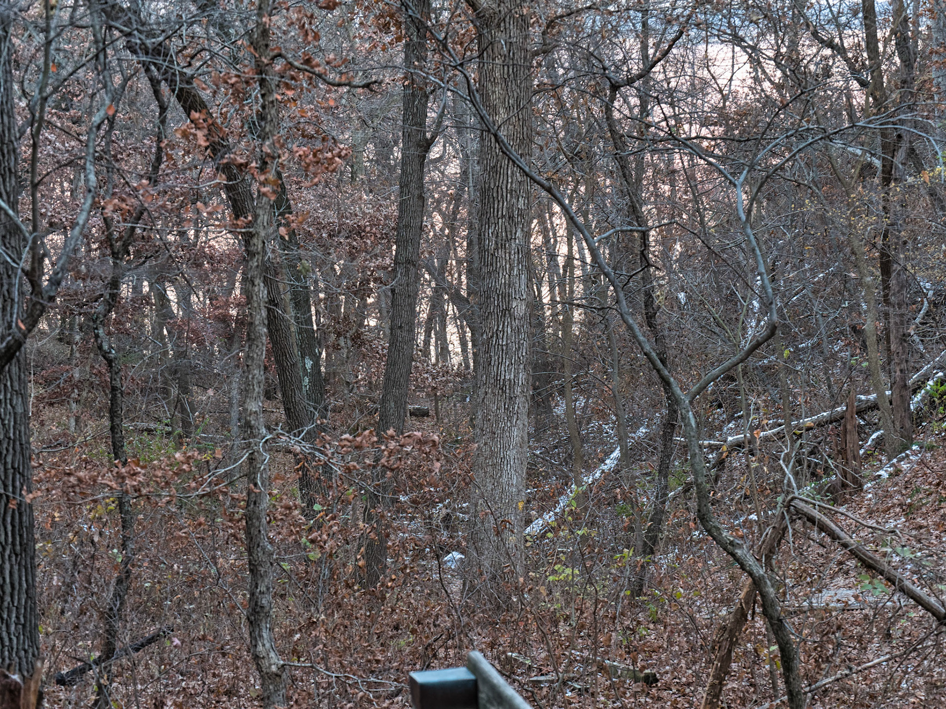 IL Starved Rock 00083