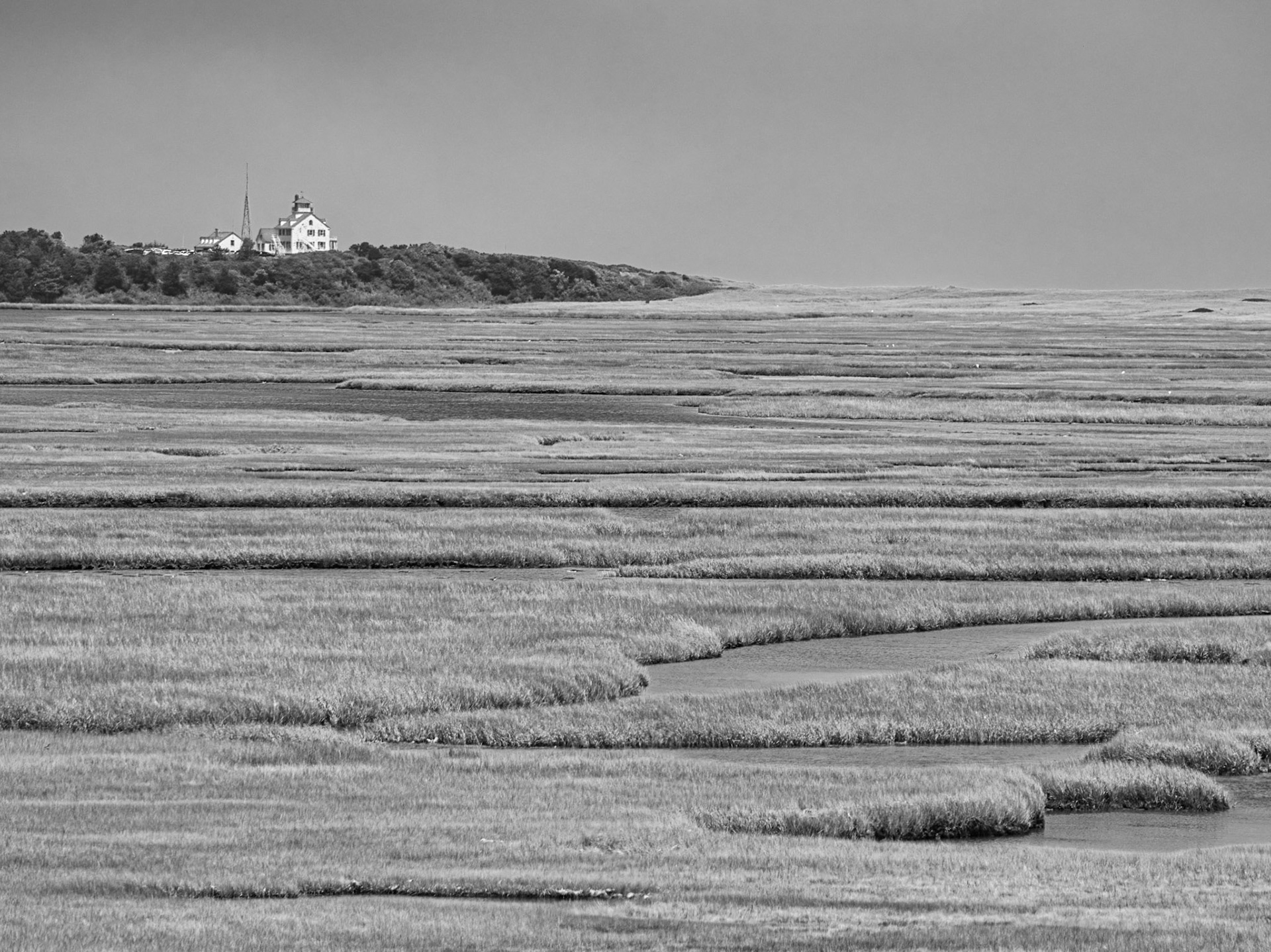 Black & White 00277