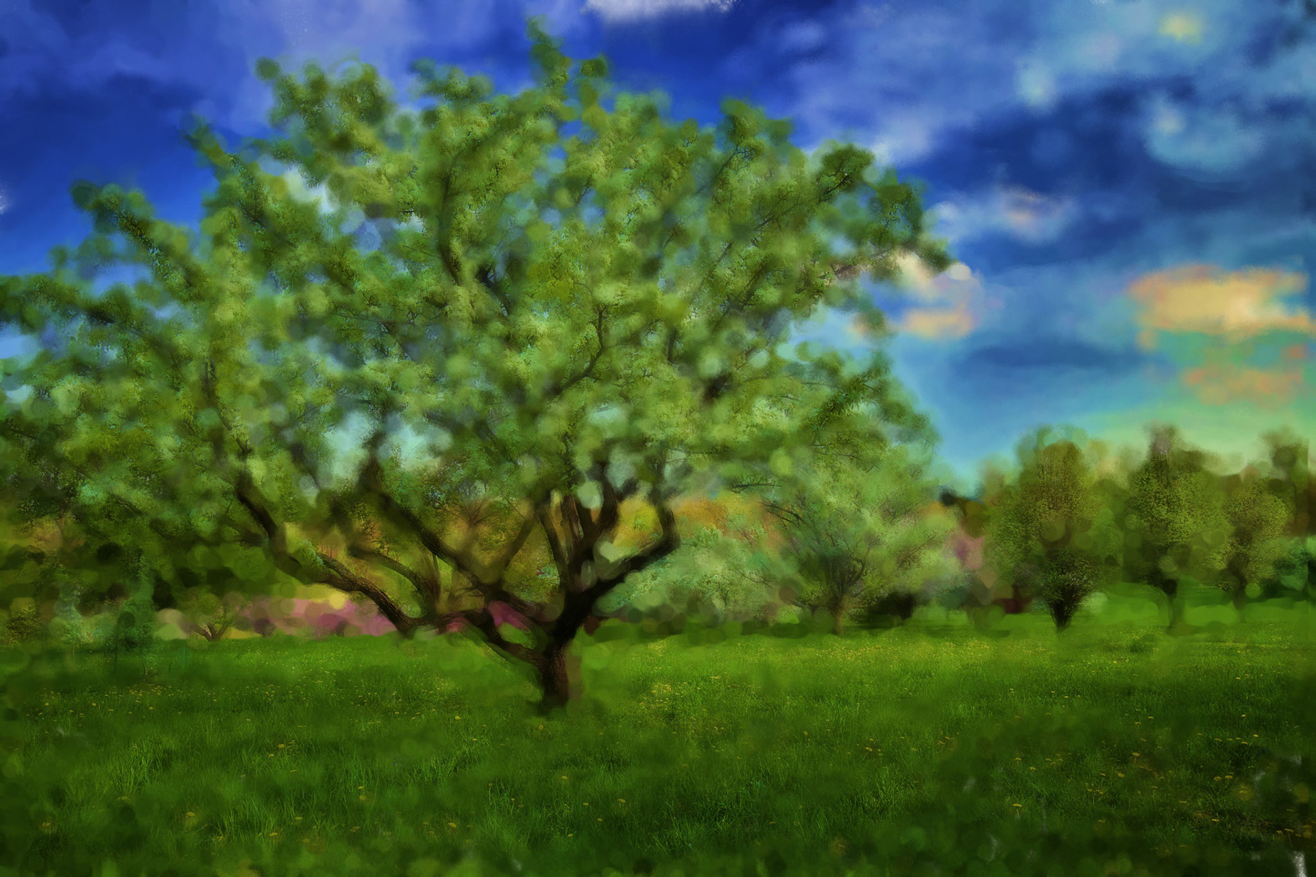 Paintings 00256