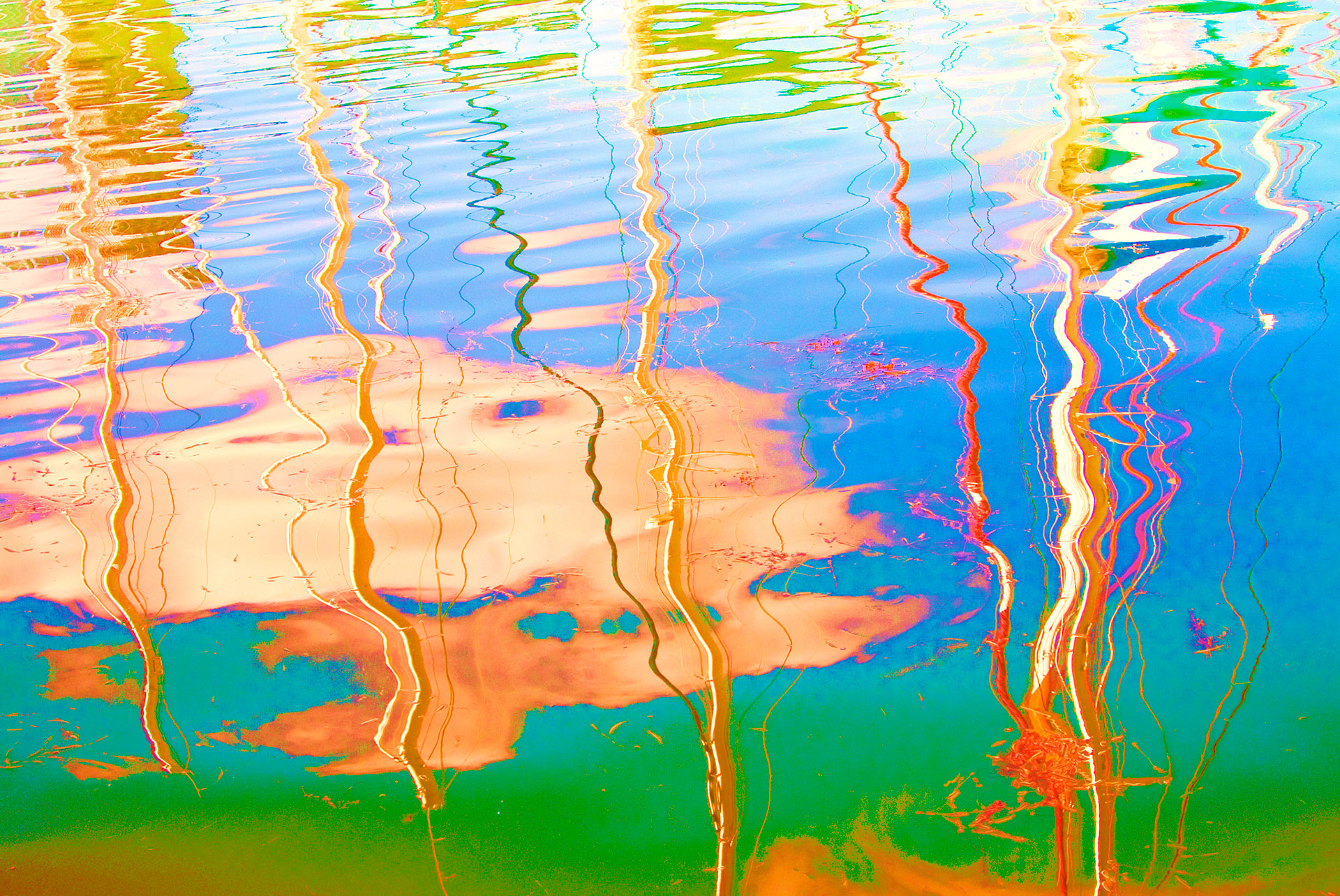 Paintings 00305