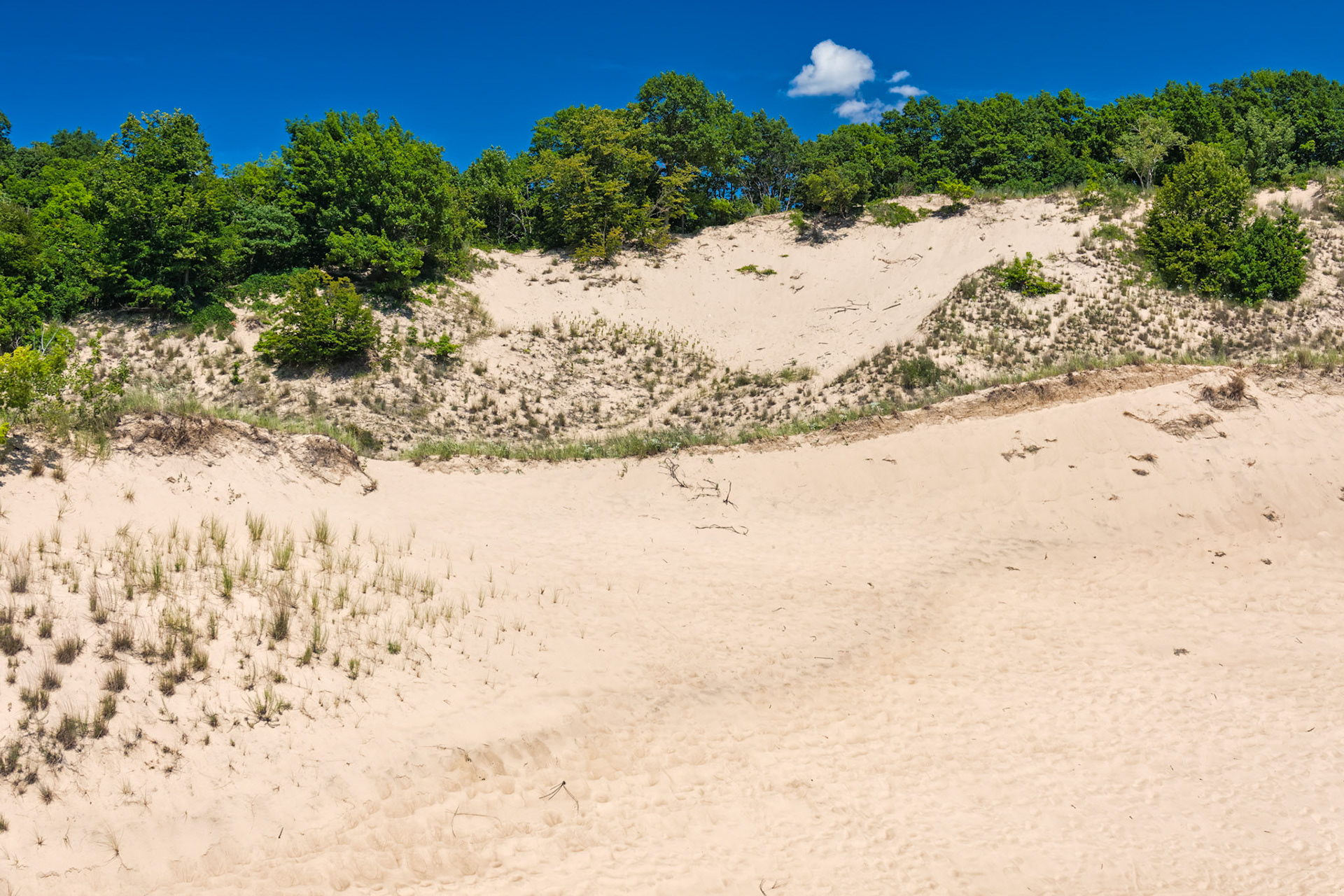 MI Dunes 00041