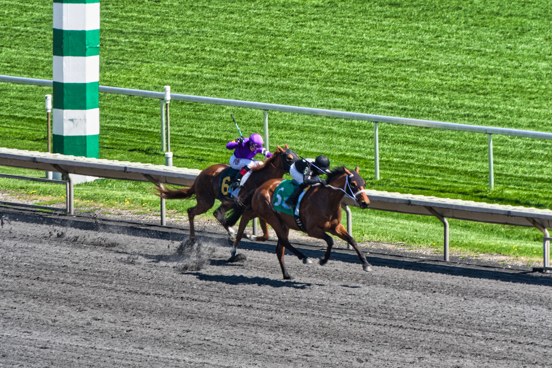 IL Arlington Park 00032