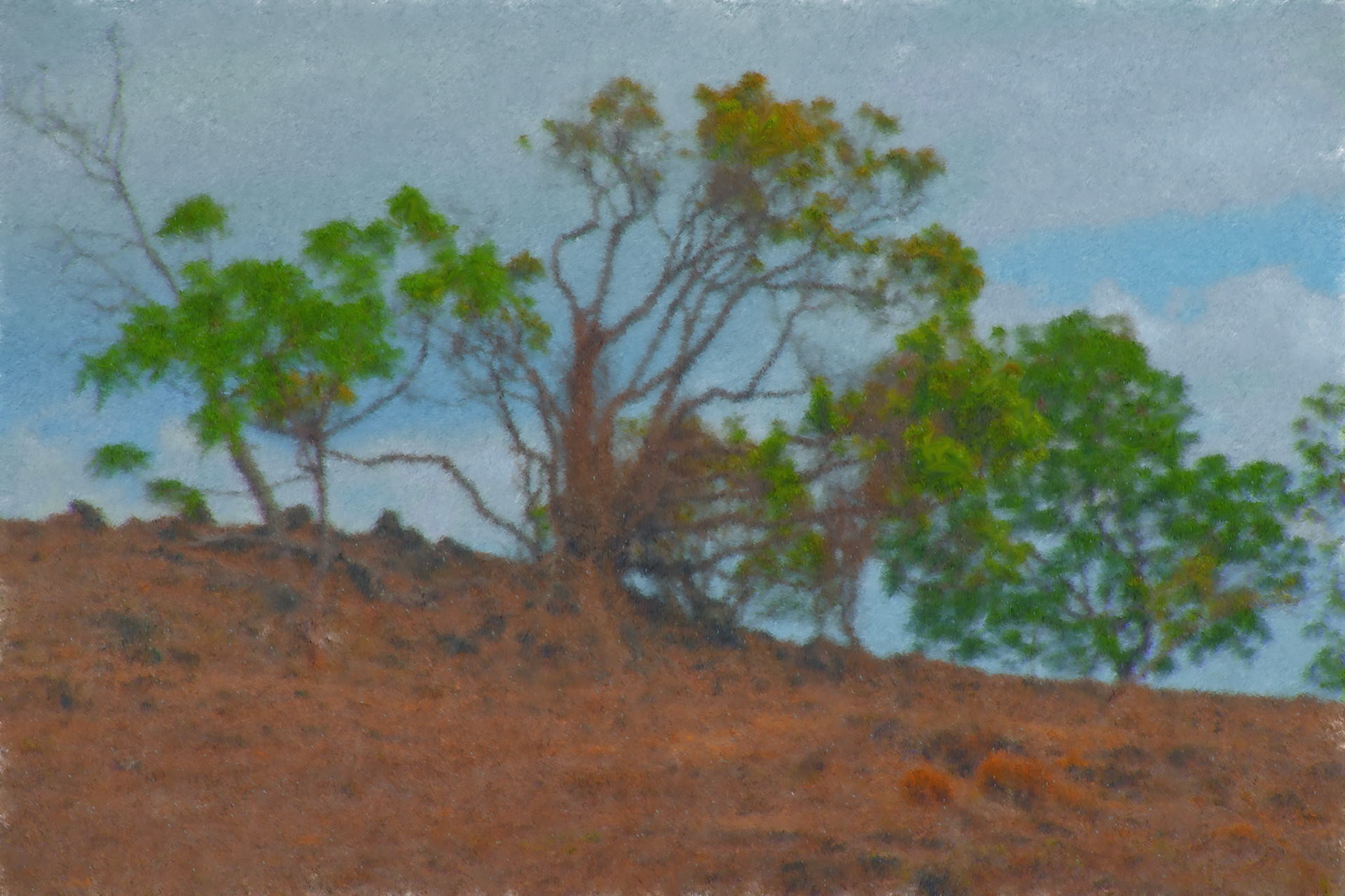 Paintings 00158